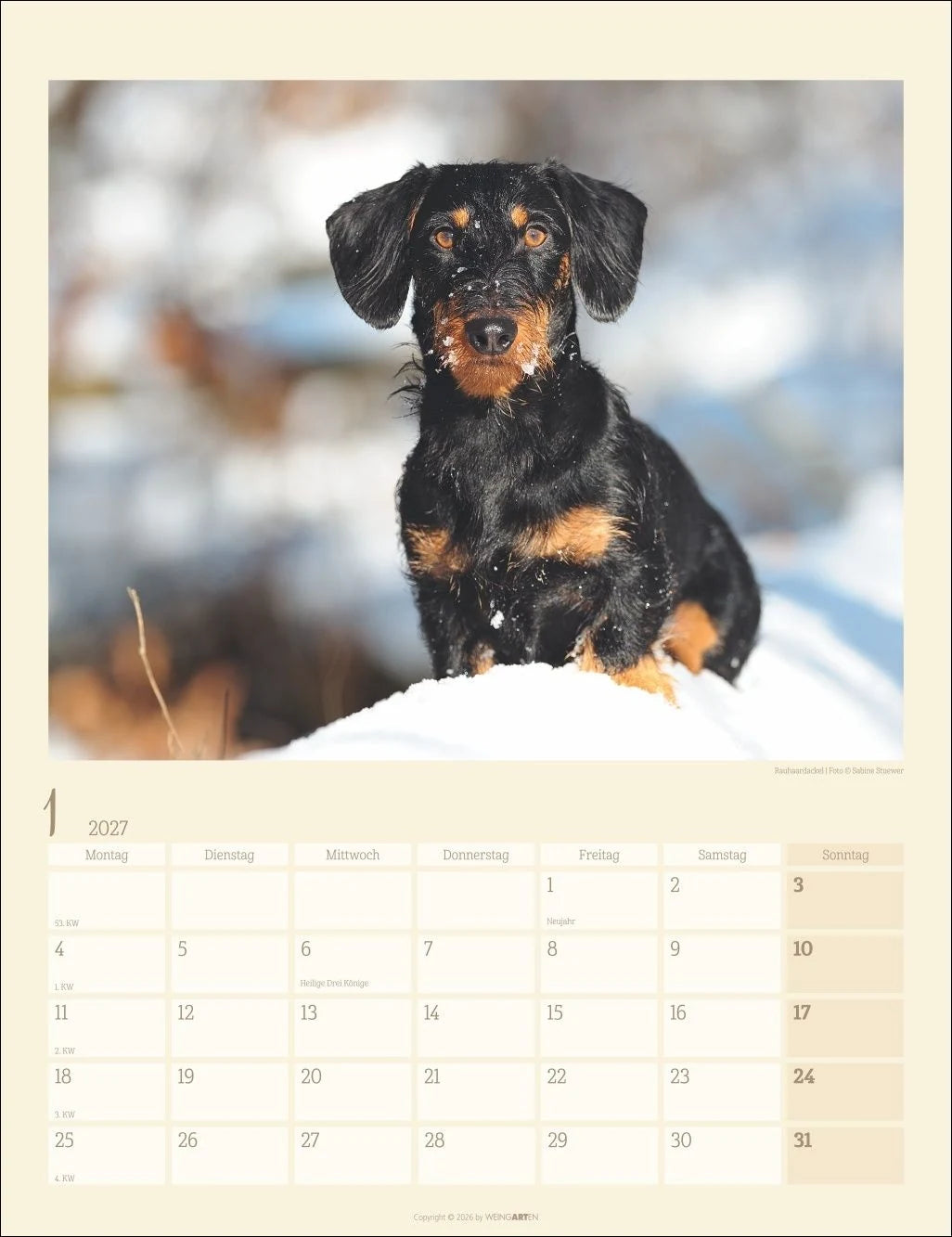 Dackel Kalender 2027 – Ansicht