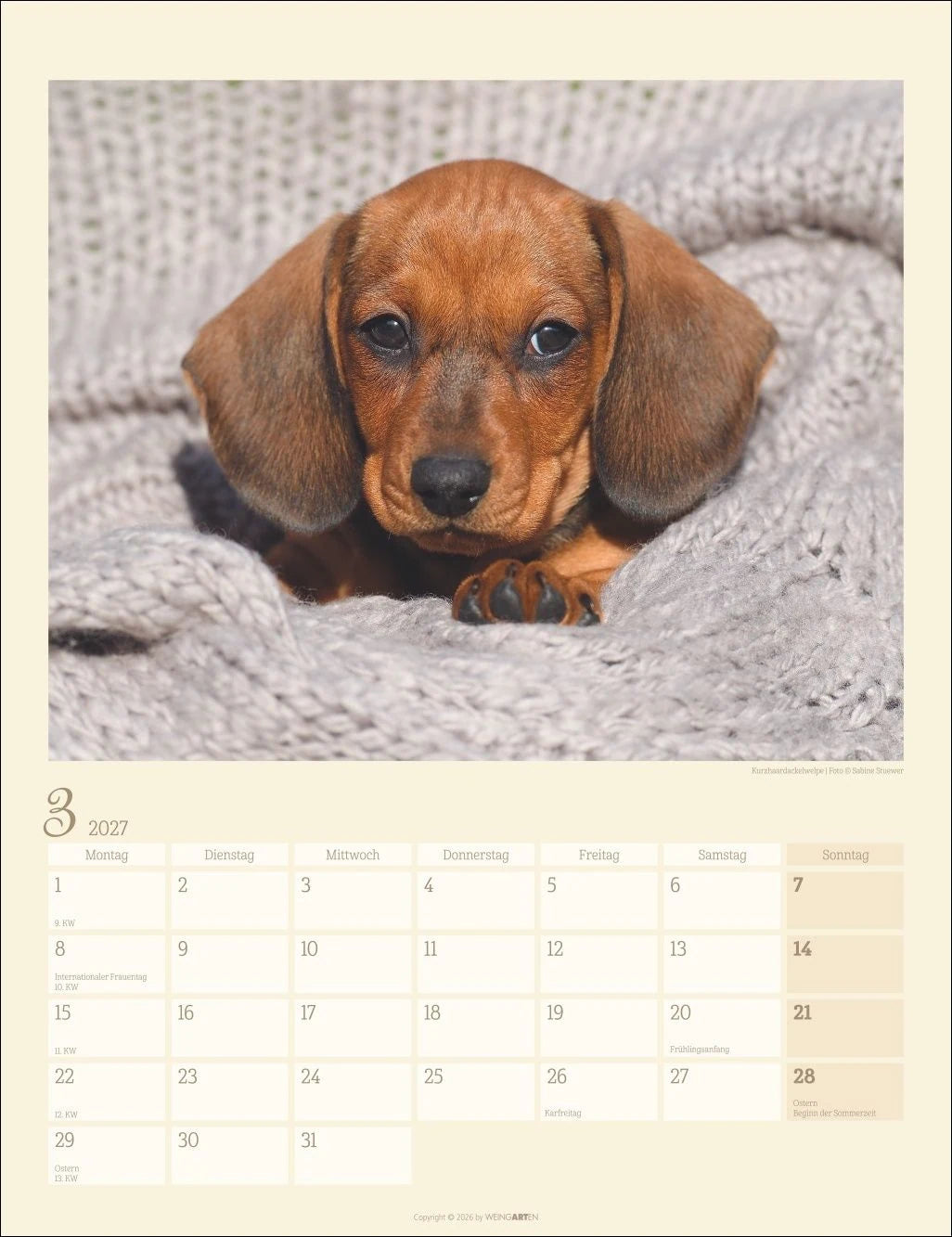 Dackel Kalender 2027 – Ansicht