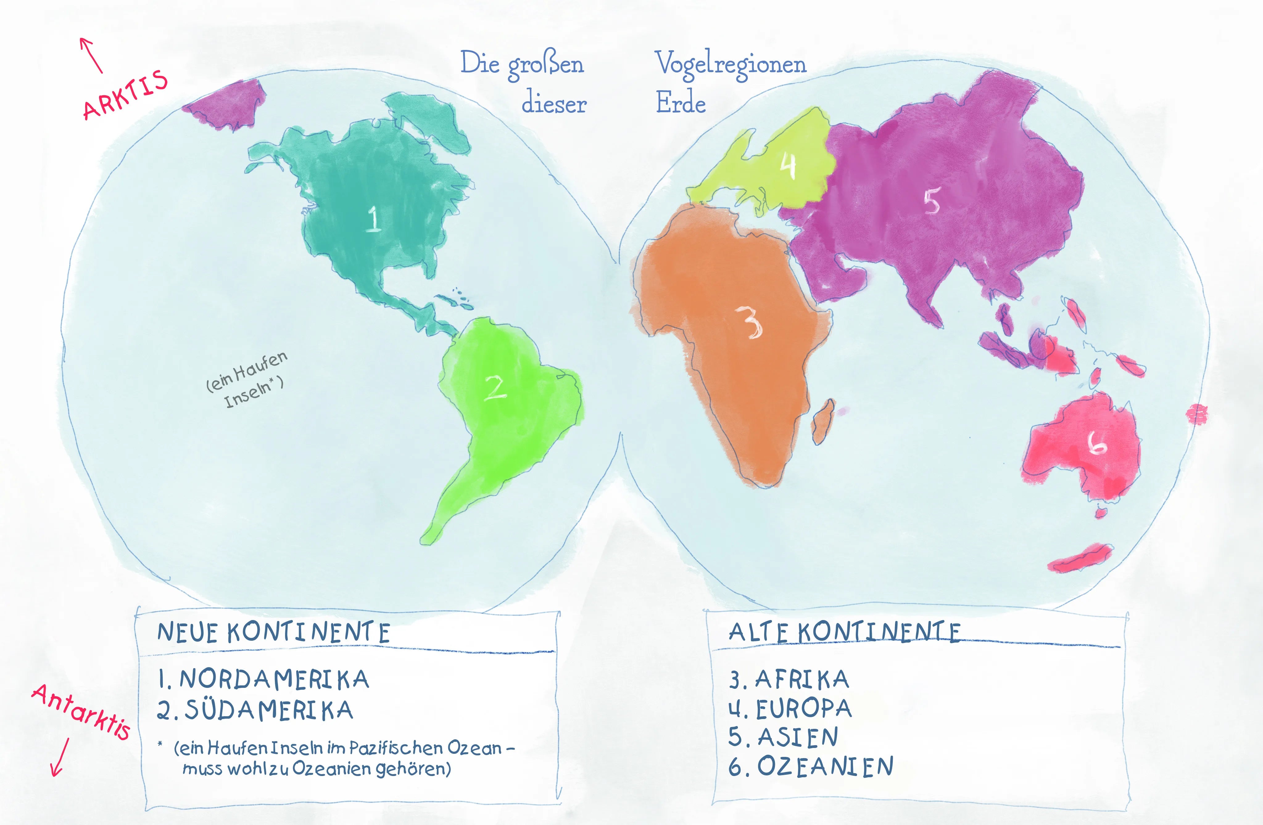 Innenansicht von 'Dämliche Vögel' - Taschenbuch