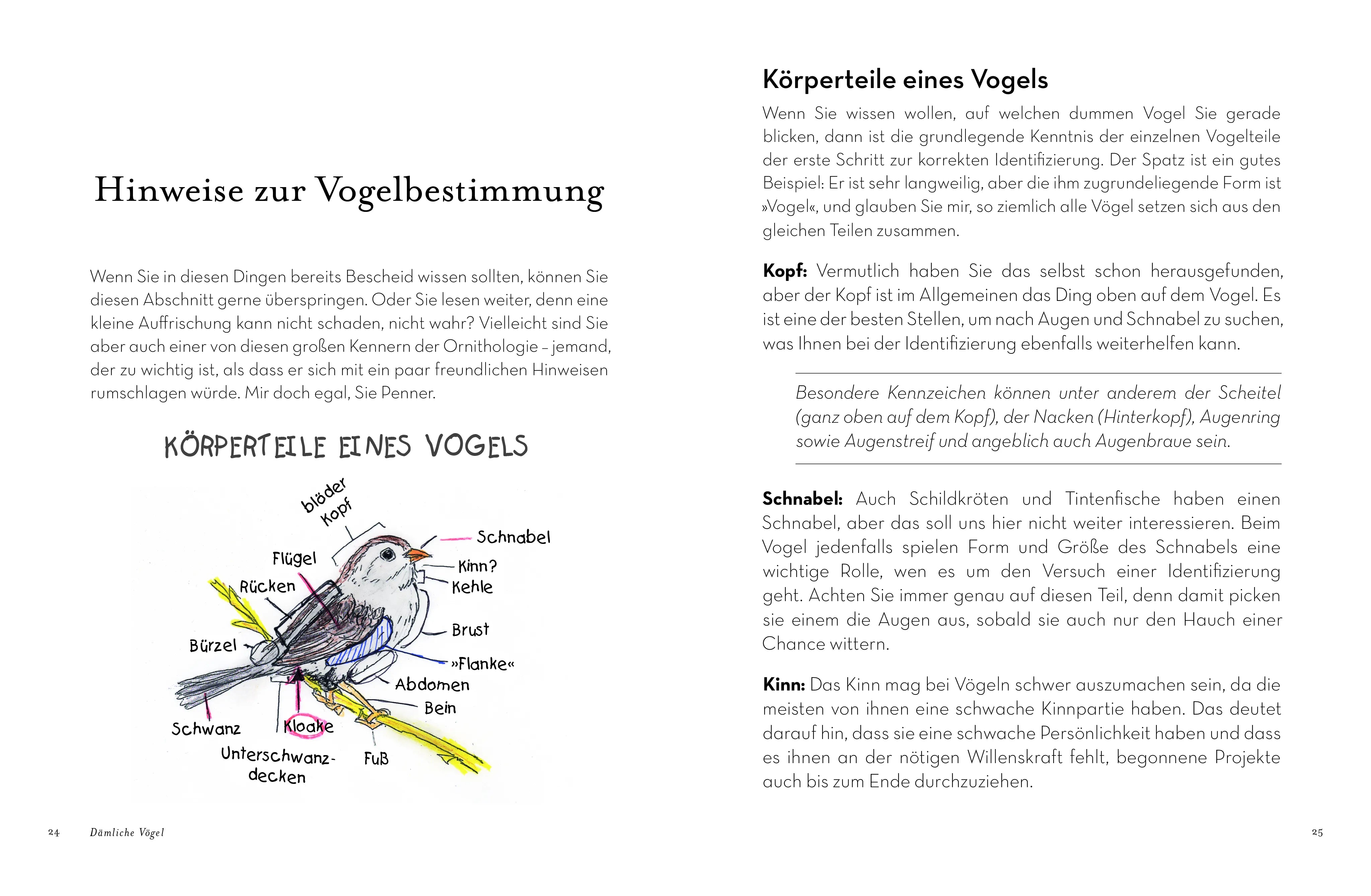 Innenansicht von 'Dämliche Vögel' - Taschenbuch