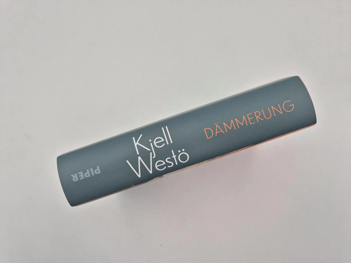 Produktansicht: Dämmerung (Gebundene Ausgabe)