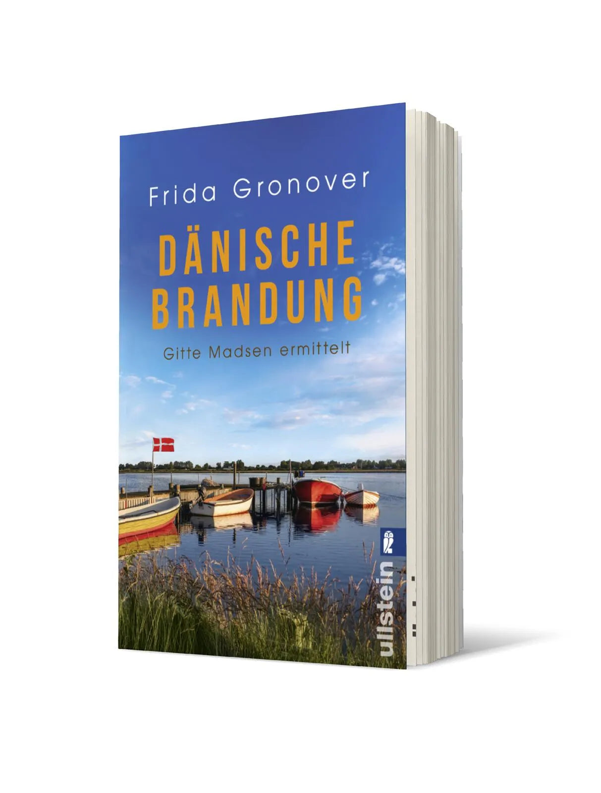 Produktansicht: Dänische Brandung (Taschenbuch)