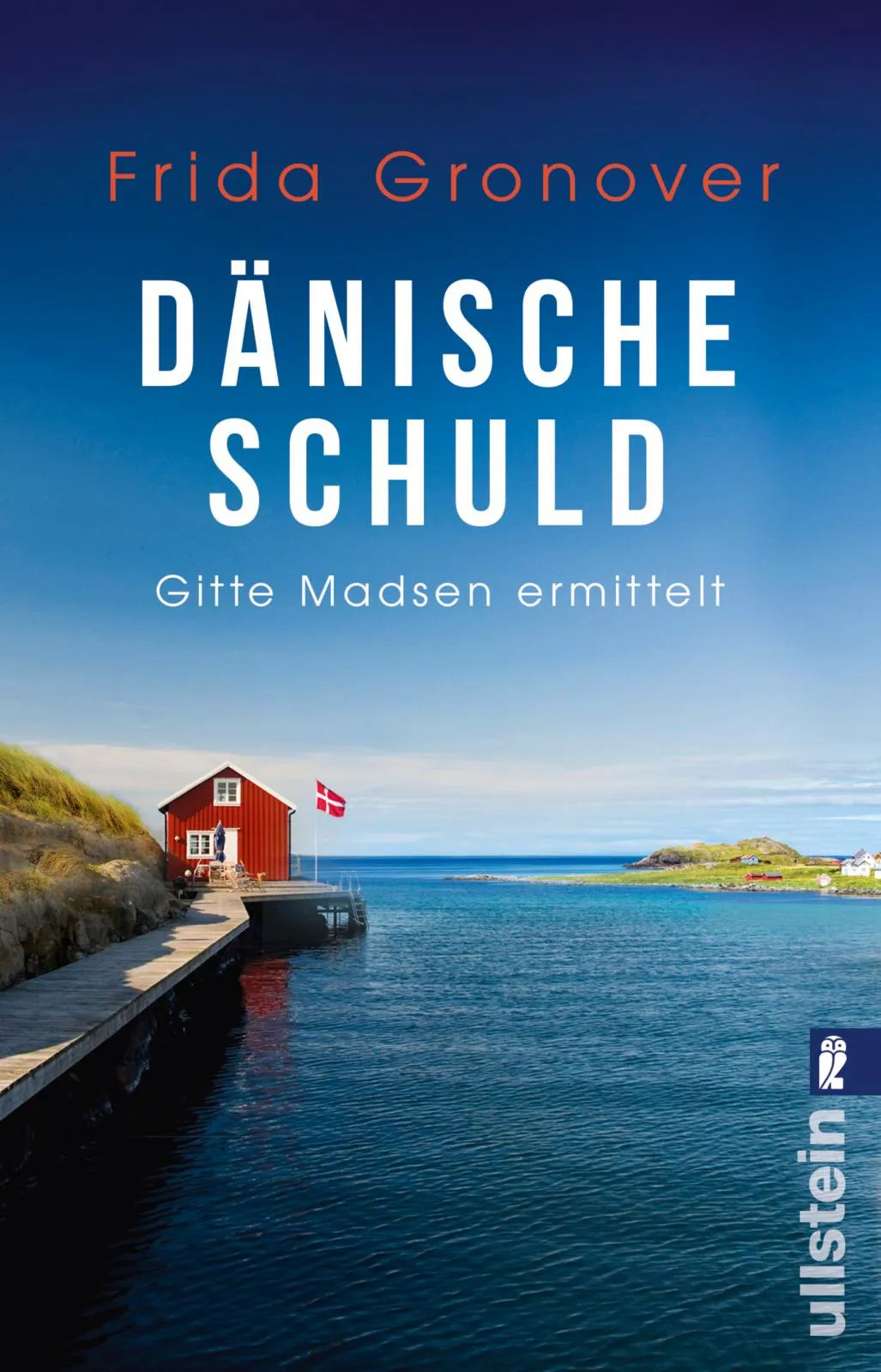 Produktansicht: Dänische Schuld (Taschenbuch)