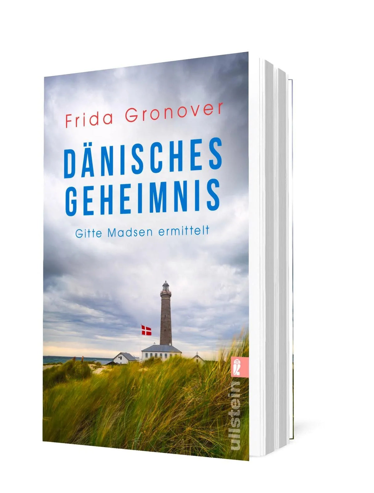Detailansicht: Dänisches Geheimnis (Taschenbuch)
