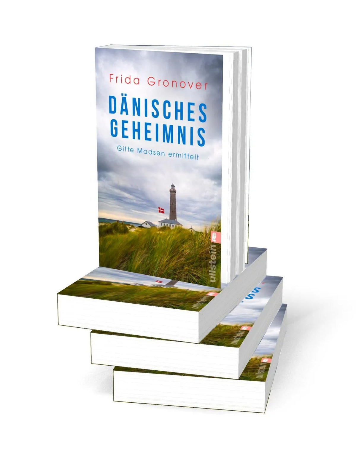 Detailansicht: Dänisches Geheimnis (Taschenbuch)