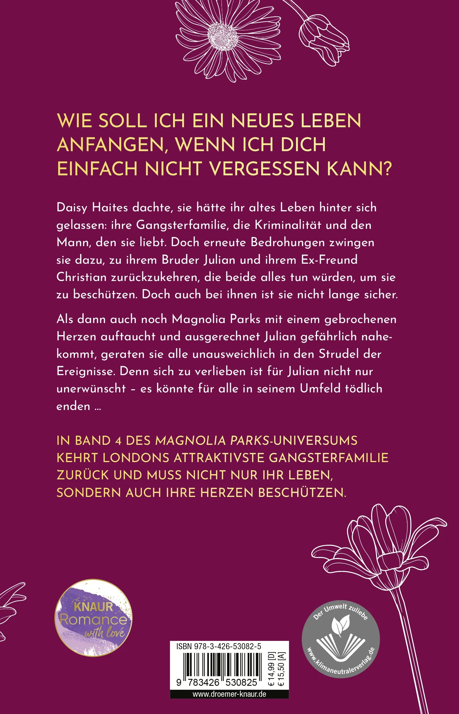 Buchrückseite von 'Daisy Haites - The Great Undoing' mit Klappentext - Paperback