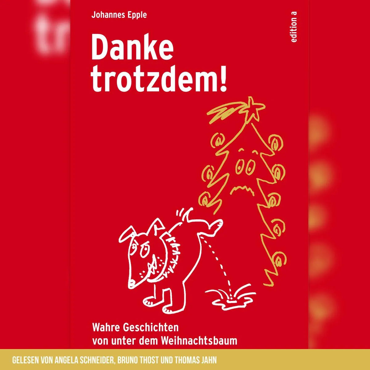 Cover: Danke trotzdem! (Hörbuch Download) von Johannes Epple