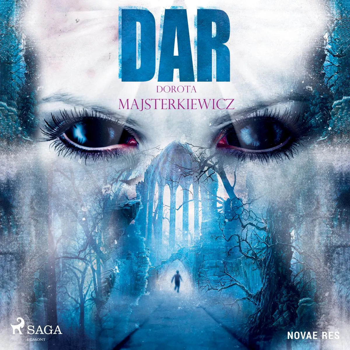 Cover: Dar (Hörbuch Download) von Dorota Majsterkiewicz