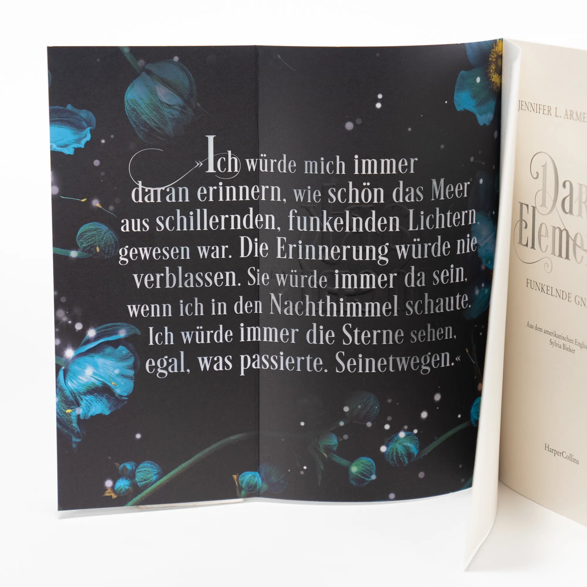 Abbildung von 'Dark Elements 6 - Funkelnde Gnade'