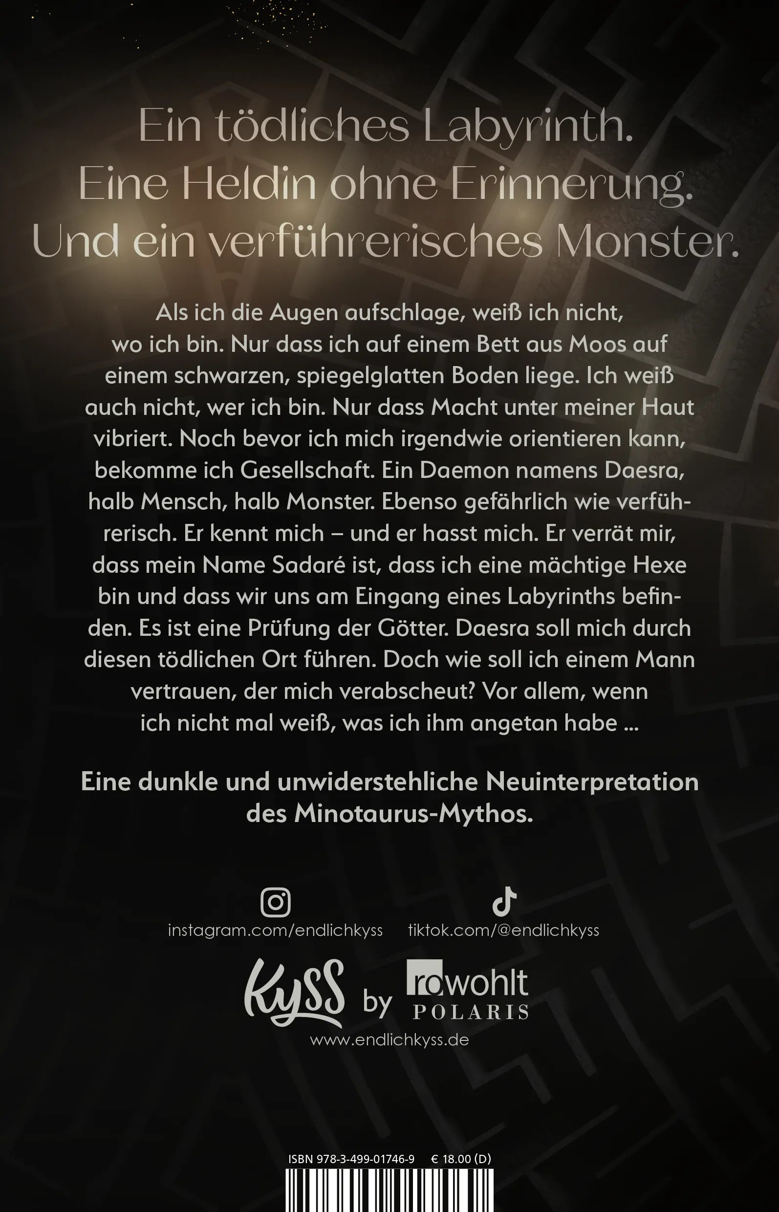 Buchrückseite von 'Dark Labyrinth – Gefährliches Verlangen' mit Klappentext - Paperback
