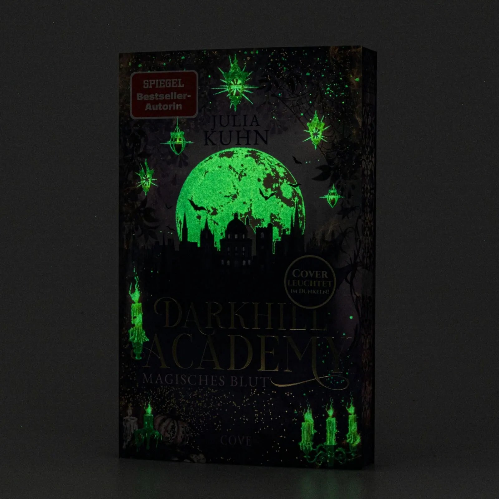Detailansicht: Darkhill Academy 1: Magisches Blut (Paperback)
