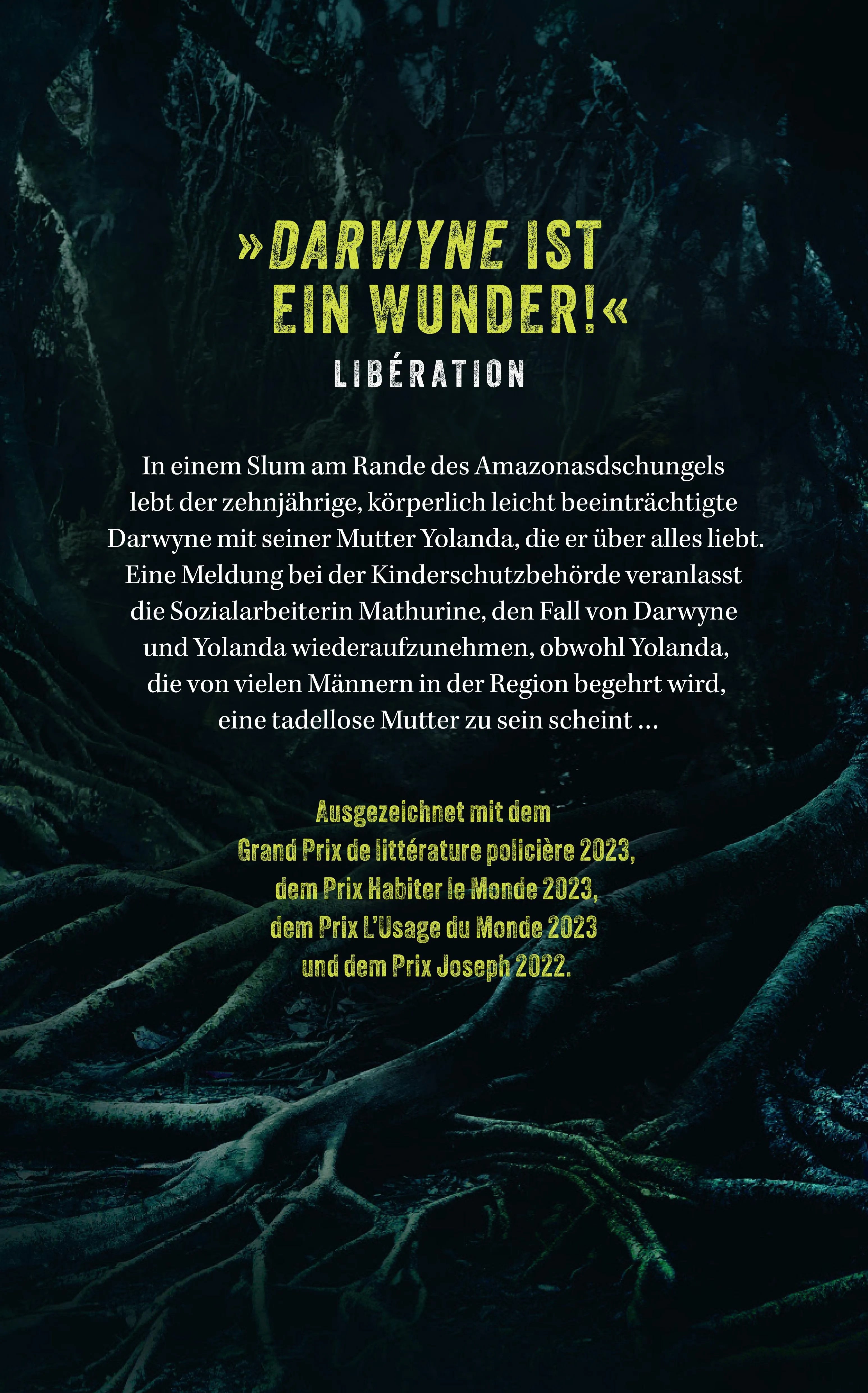 Buchrückseite von 'Darwyne' mit Klappentext - Paperback