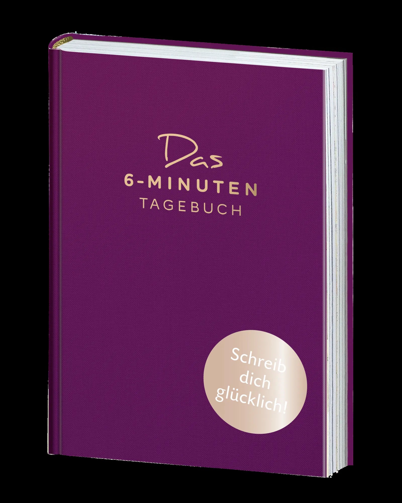 Dominik Spenst - Das 6-Minuten-Tagebuch