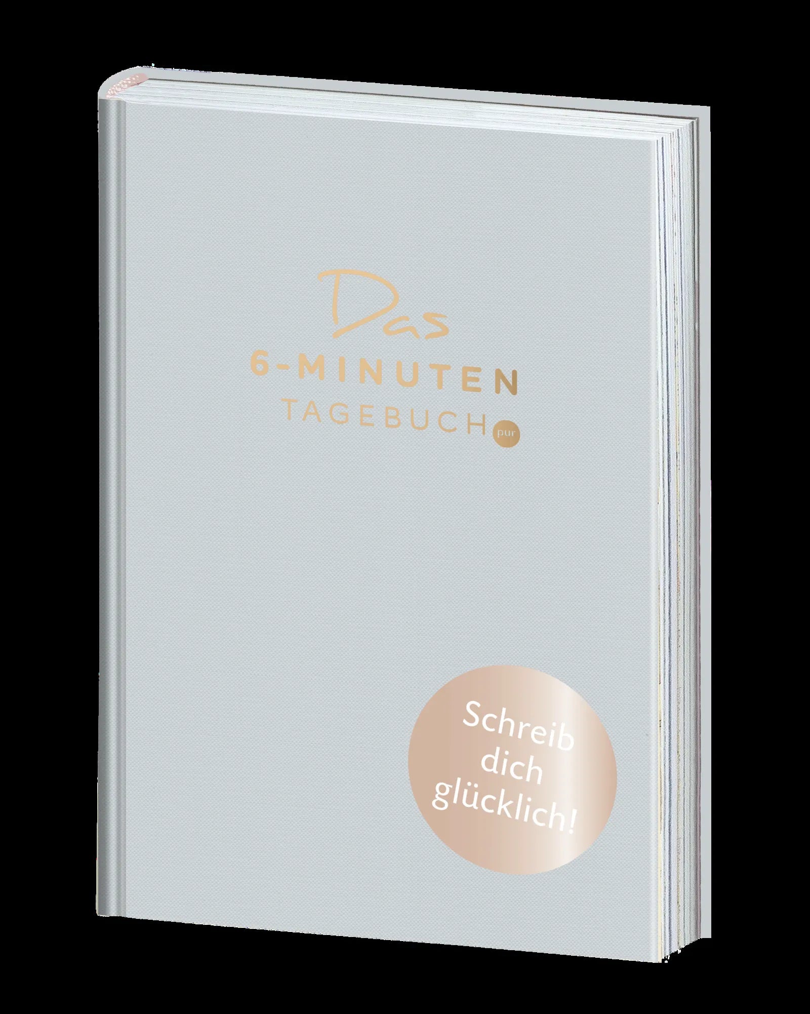 Dominik Spenst - Das 6-Minuten-Tagebuch pur