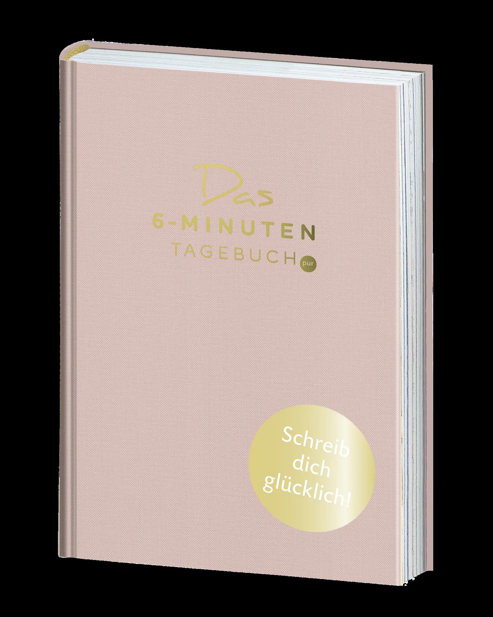 Dominik Spenst - Das 6-Minuten-Tagebuch pur