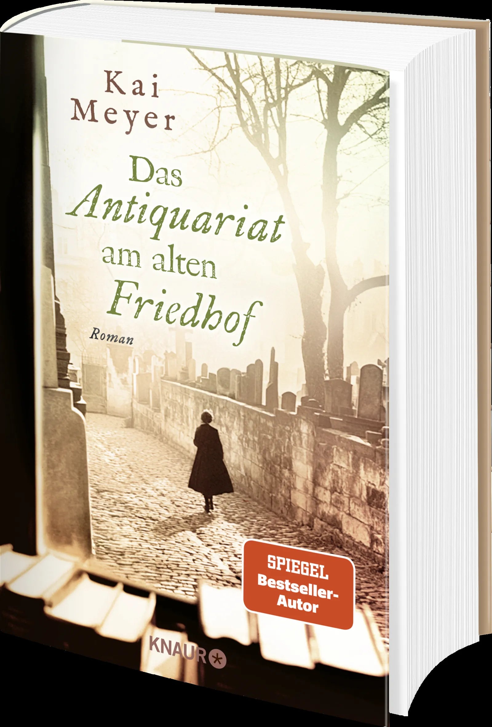 Detailansicht: Das Antiquariat am alten Friedhof (Hardcover)