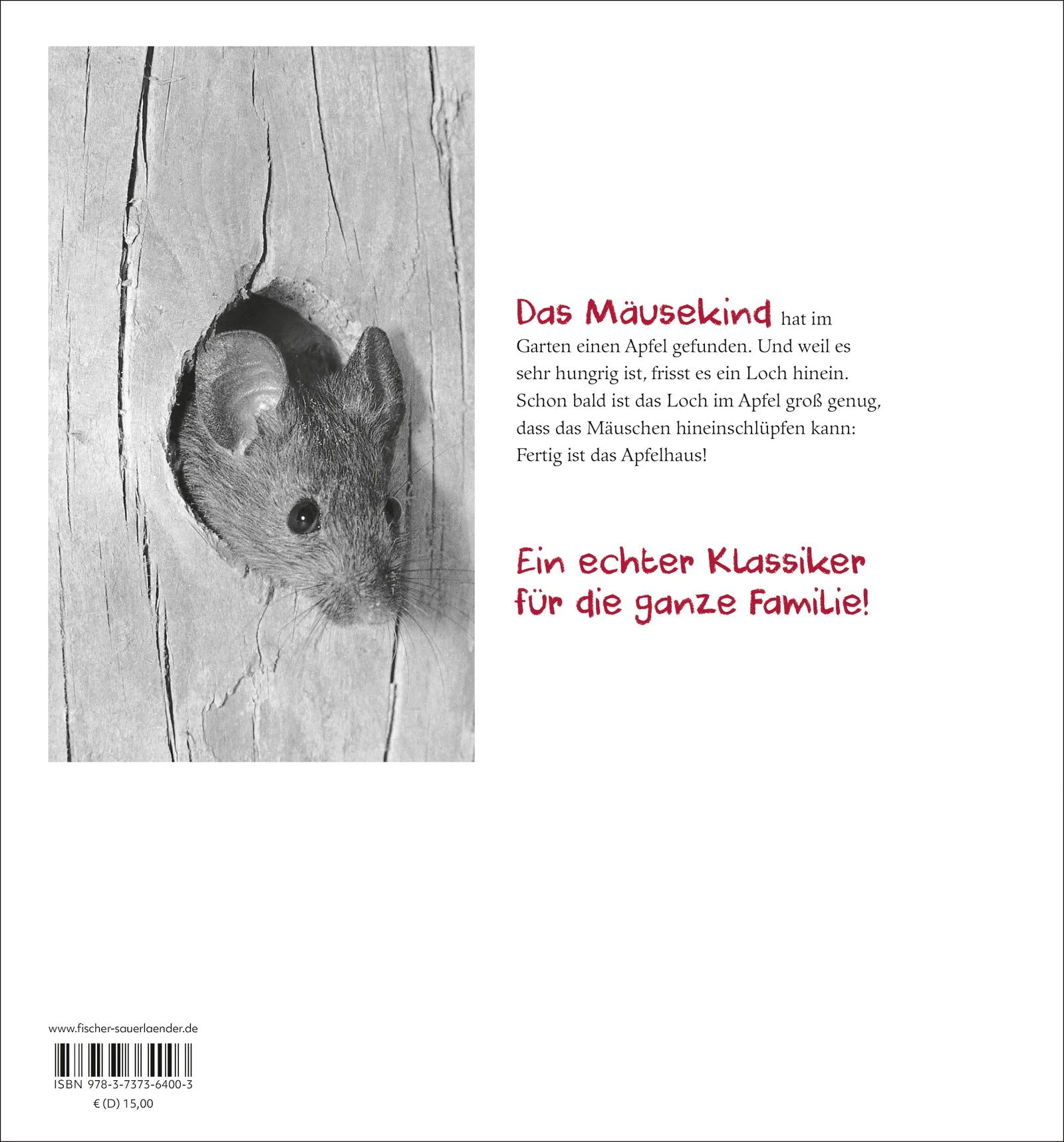 Buchrückseite von 'Das Apfelmäuschen' mit Klappentext - Gebundene Ausgabe