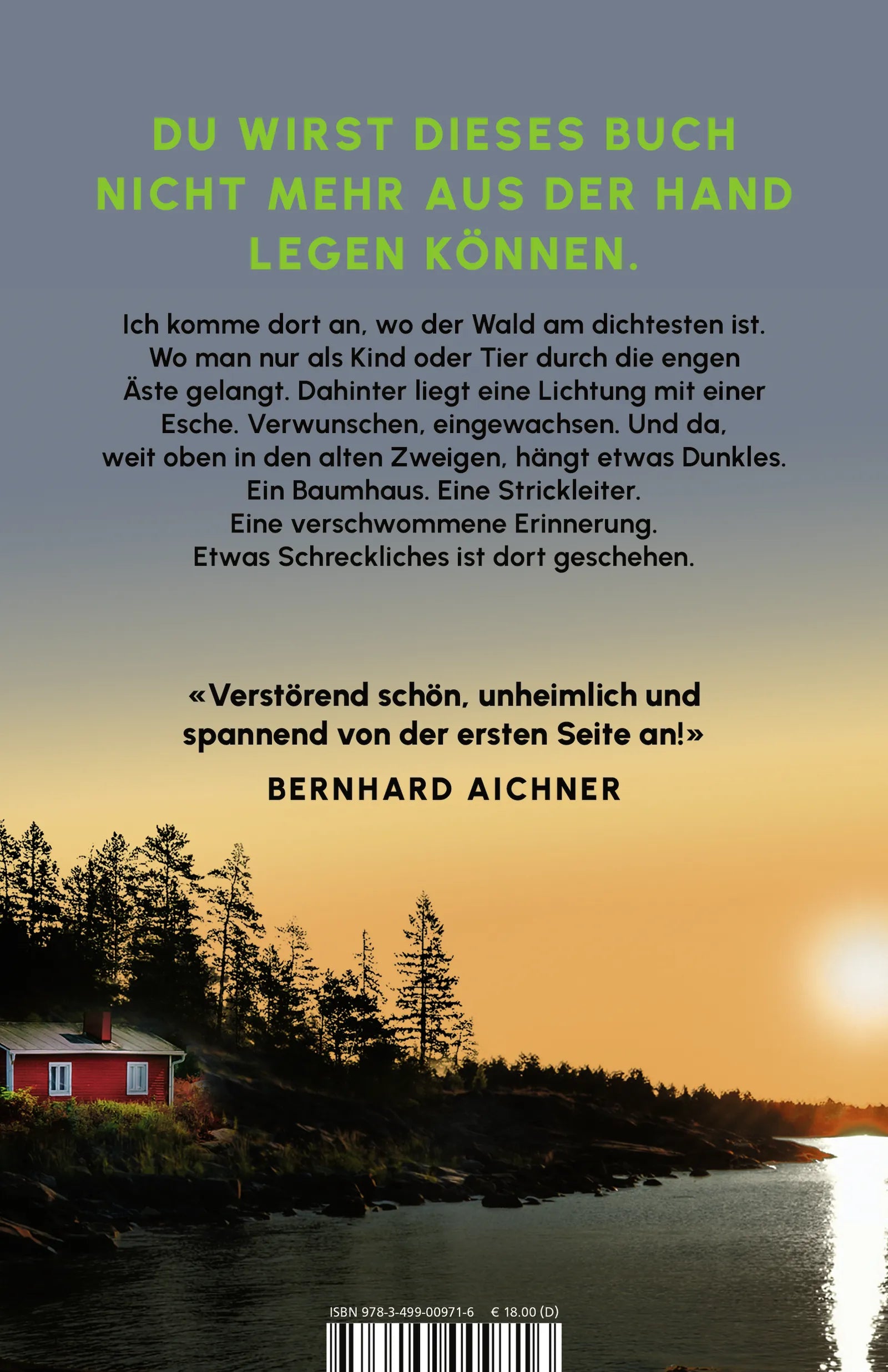Buchrückseite von 'Das Baumhaus' mit Klappentext - Paperback