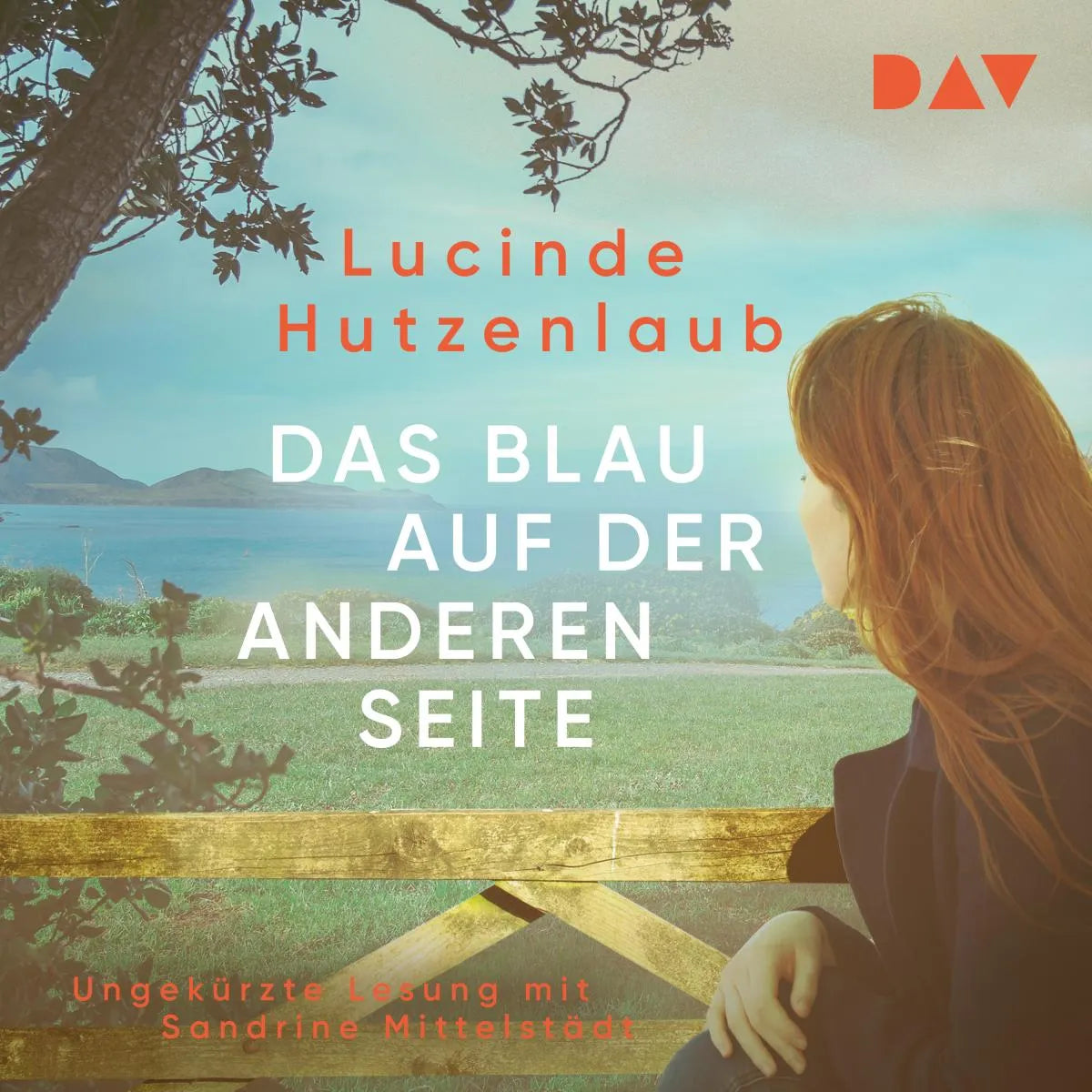 Cover: Das Blau auf der anderen Seite (Hörbuch Download) von Lucinde Hutzenlaub
