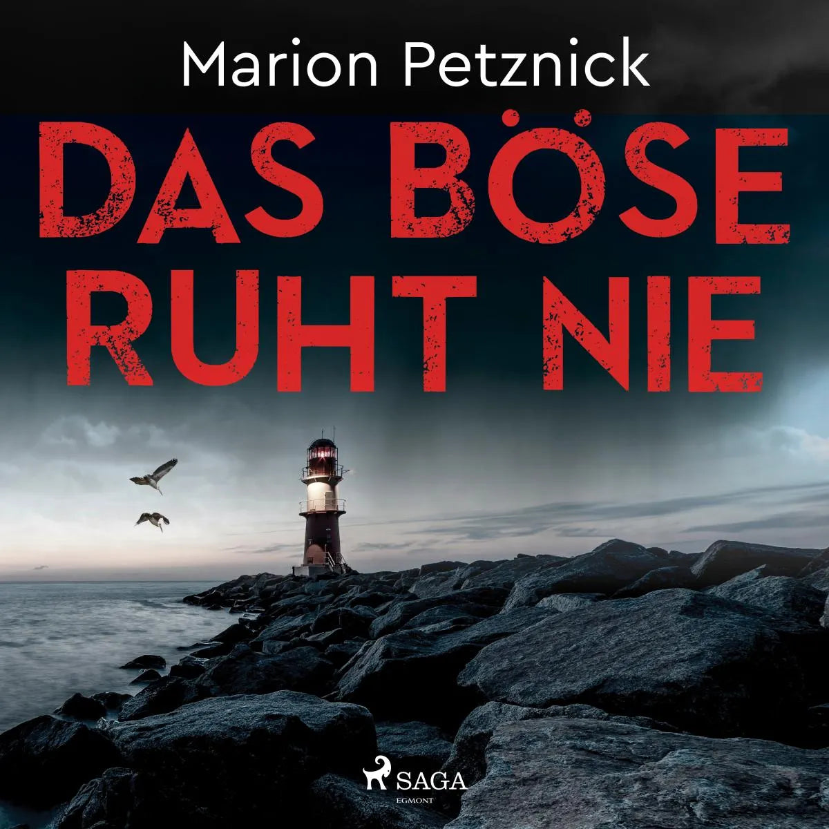 Cover: Das Böse ruht nie (Hörbuch Download) von Marion Petznick