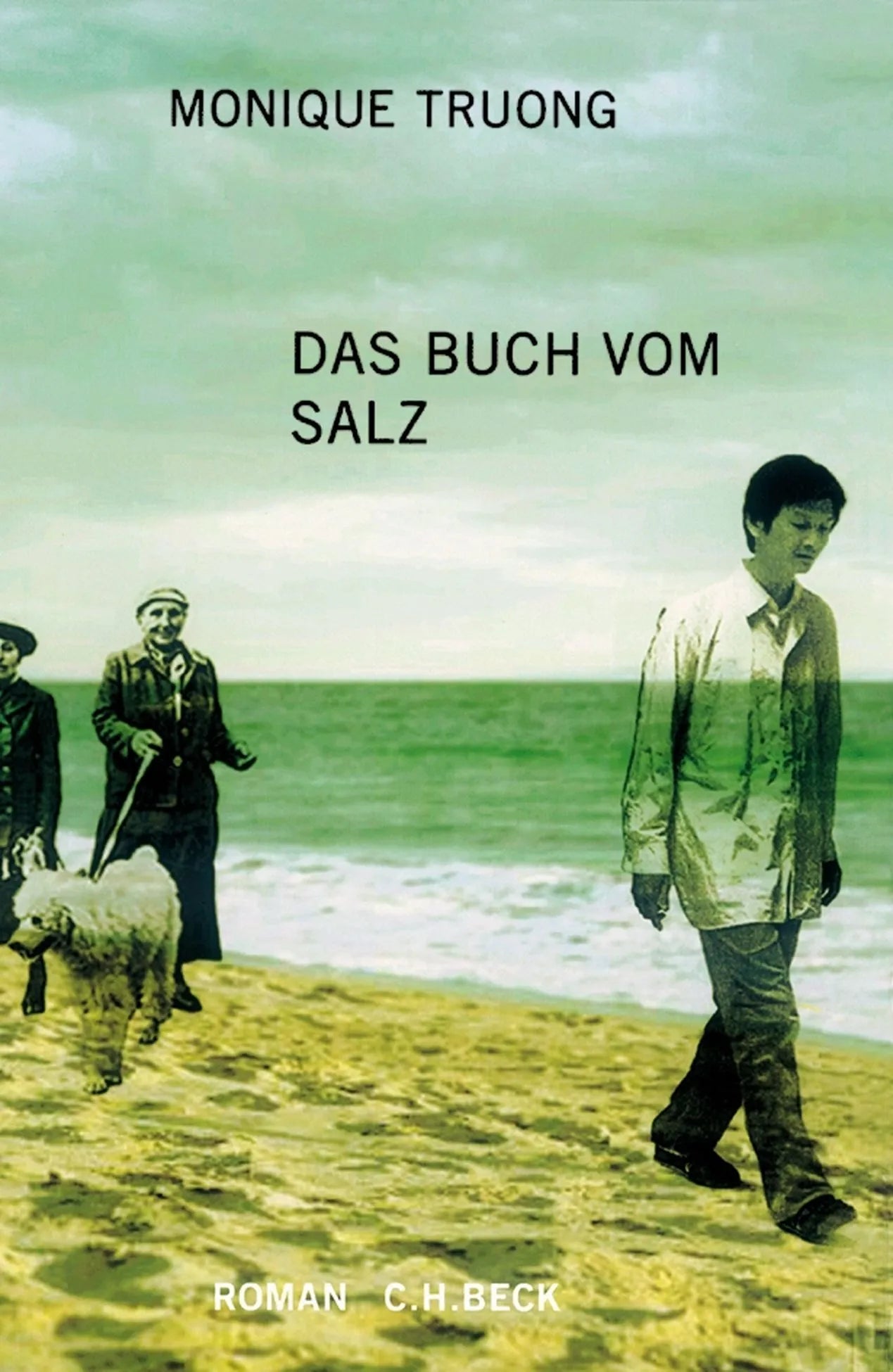 Buchcover von 'Das Buch vom Salz' - Gebundene Ausgabe von Monique Truong