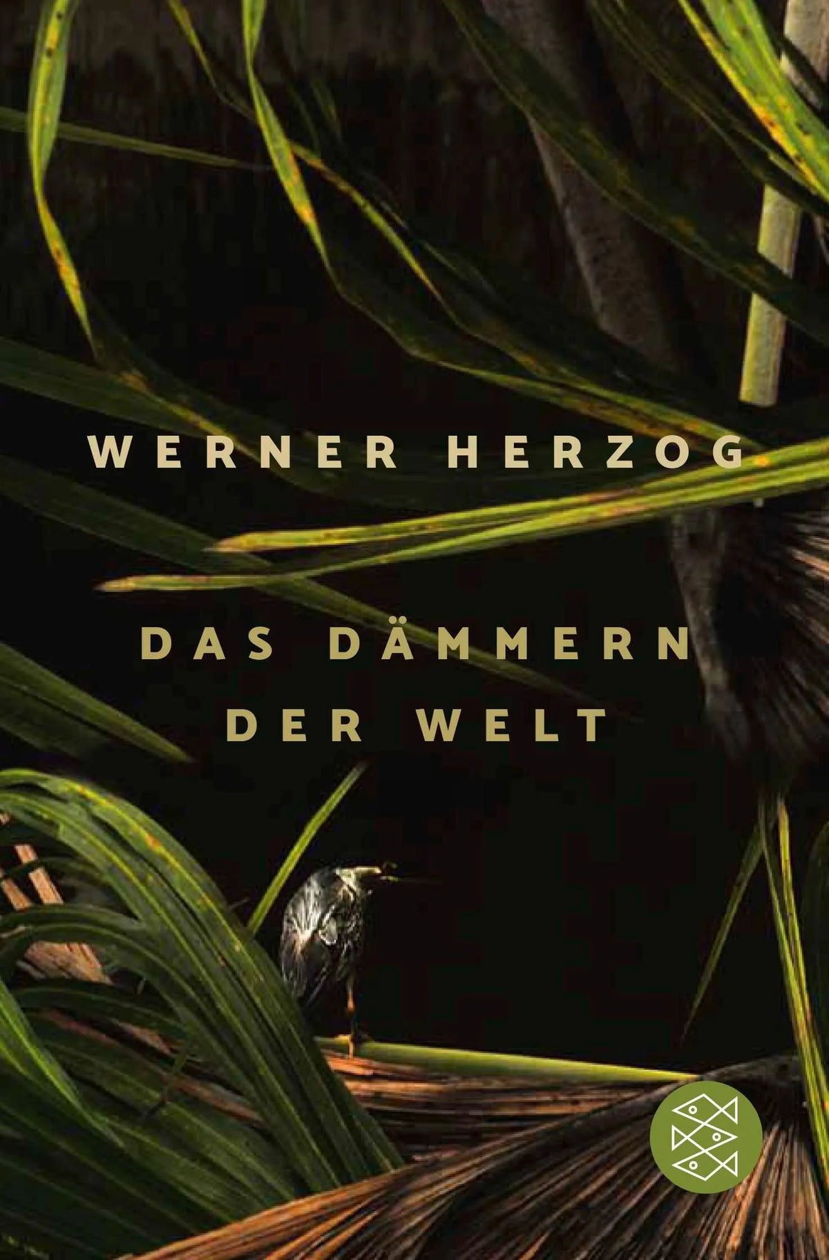 Cover: Das Dämmern der Welt (Taschenbuch) von Werner Herzog