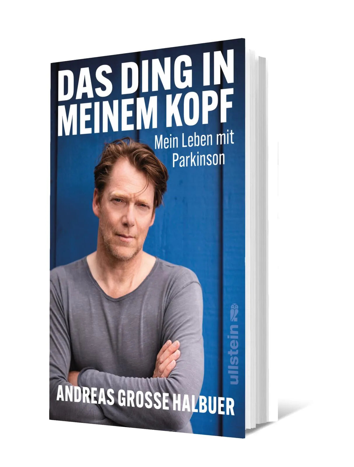 Andreas Große Halbuer - Das Ding in meinem Kopf