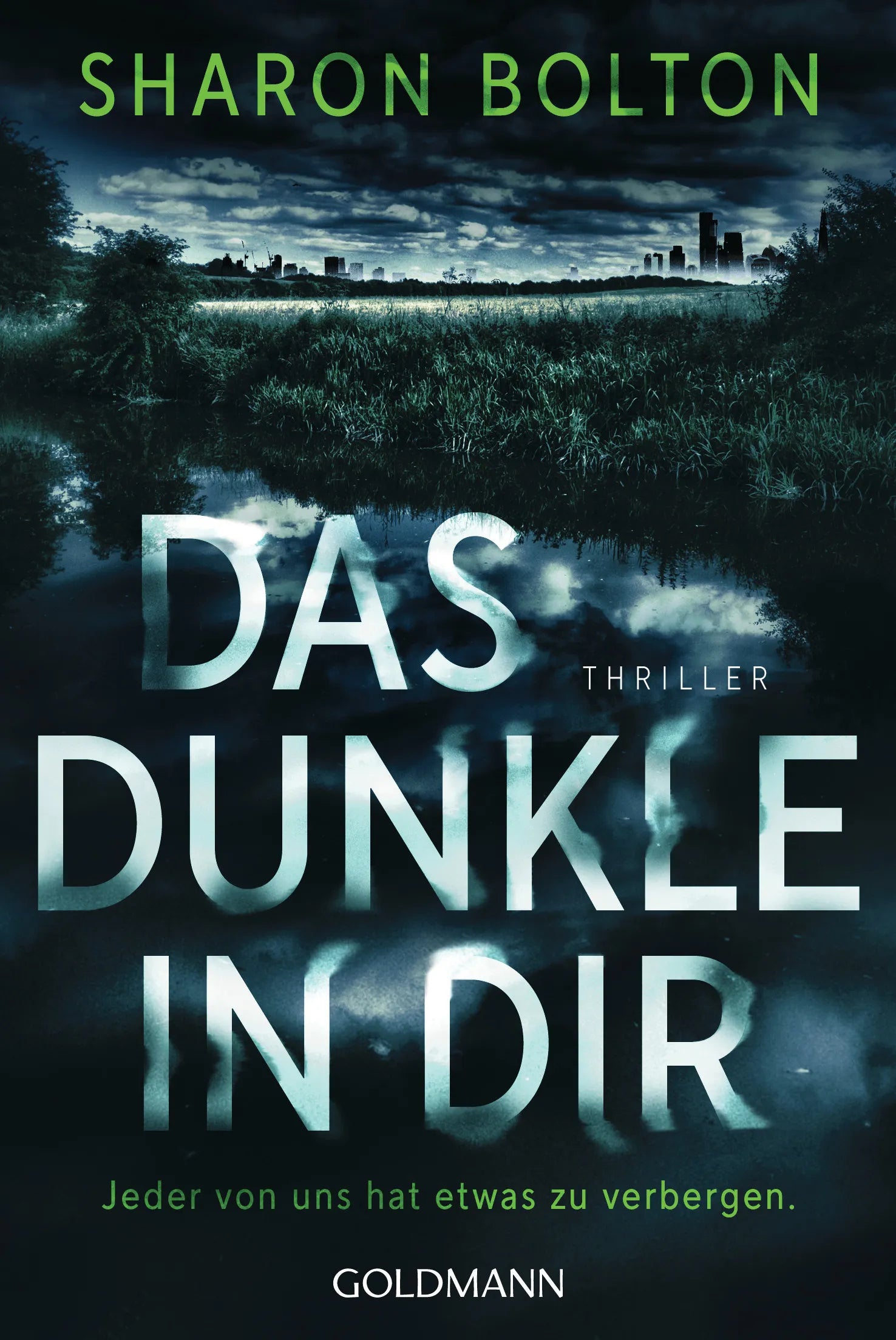 Cover: Das Dunkle in dir (E-Book) von Sharon Bolton