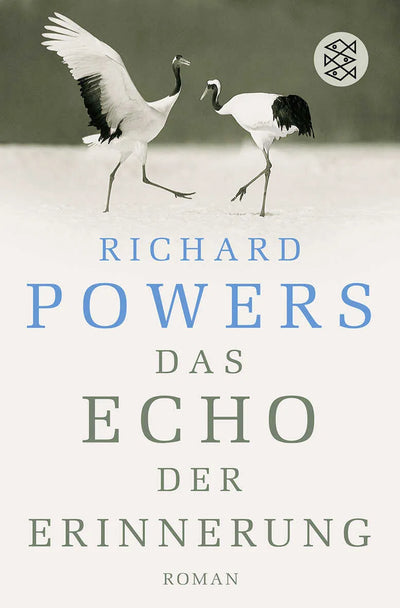 Das Echo der Erinnerung