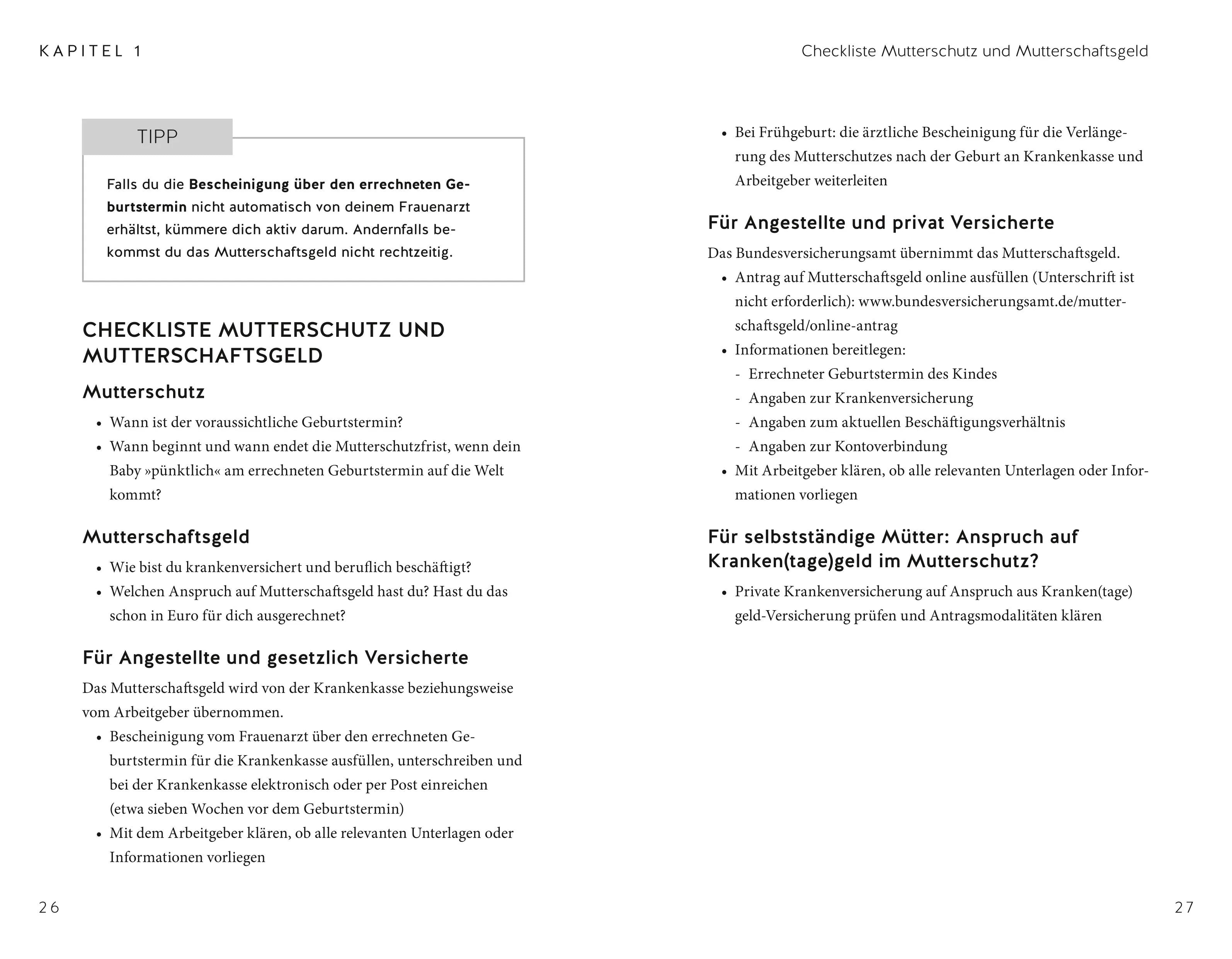 Produktansicht: Das Elternzeit-Handbuch (Taschenbuch)
