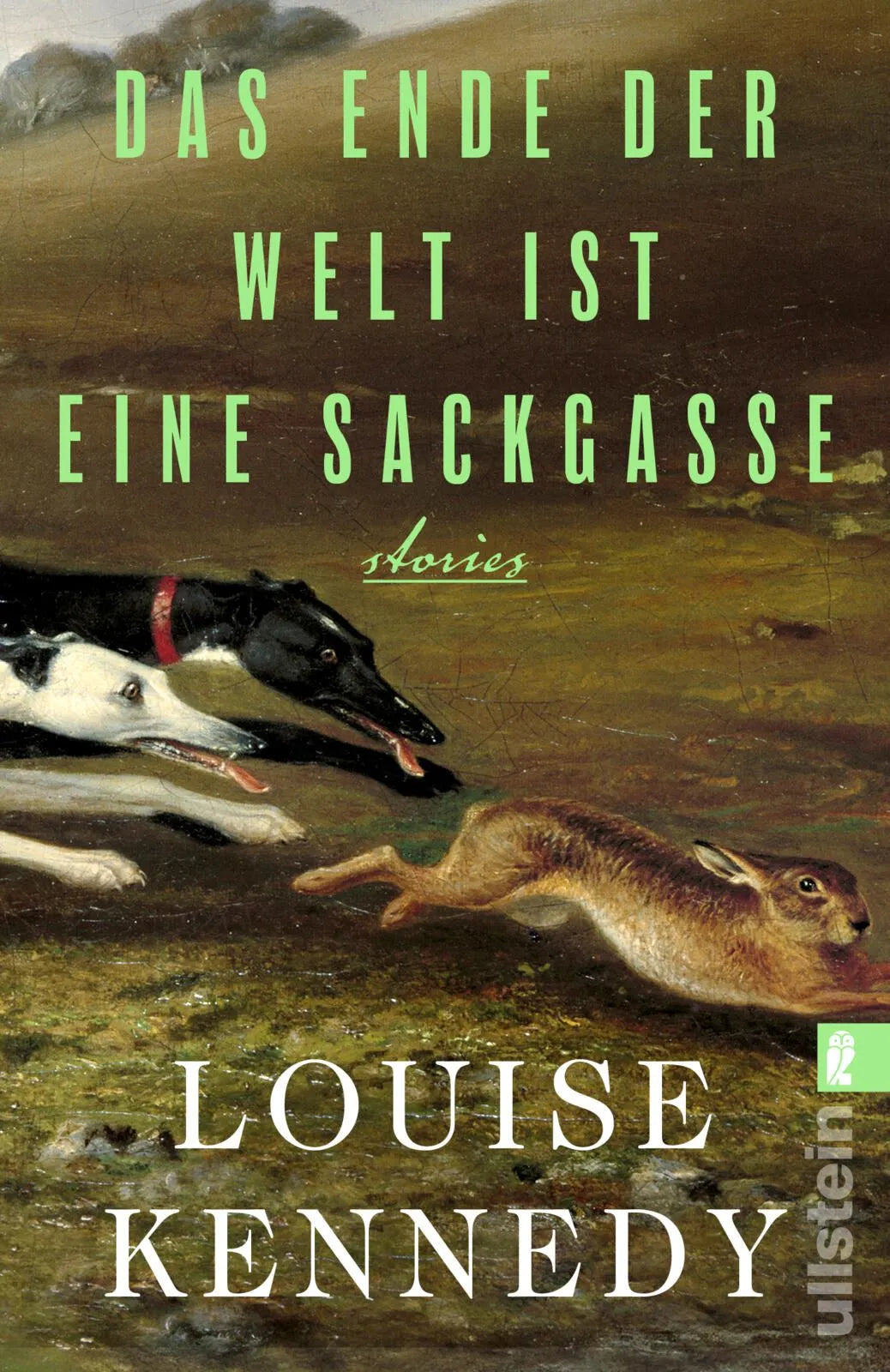 Cover: Das Ende der Welt ist eine Sackgasse (Taschenbuch) von Louise Kennedy
