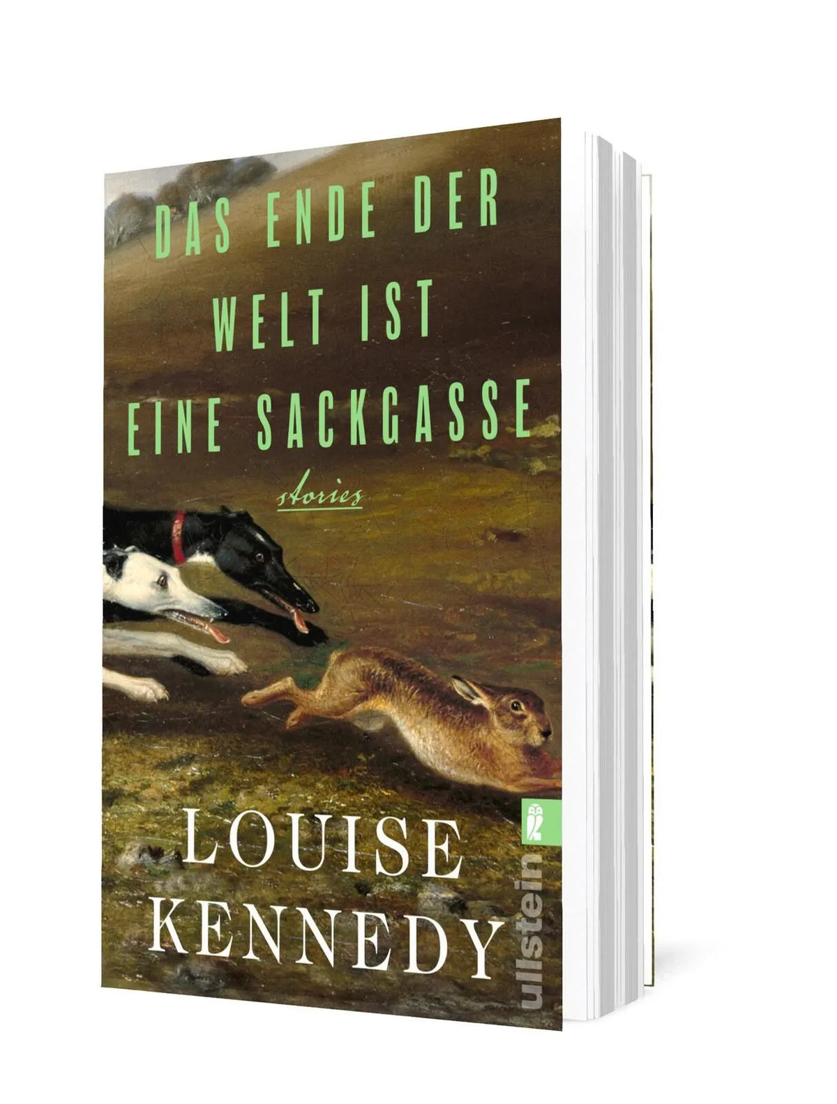 Detailansicht: Das Ende der Welt ist eine Sackgasse (Taschenbuch)