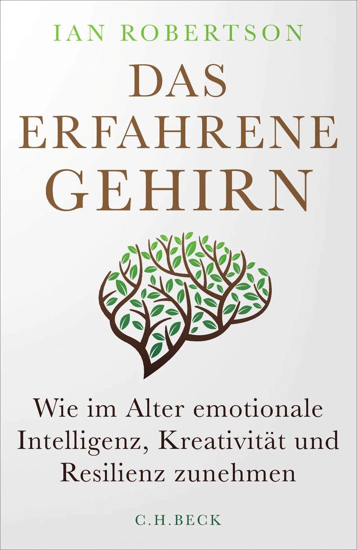 Cover: Das erfahrene Gehirn (Hardcover) von Ian Robertson