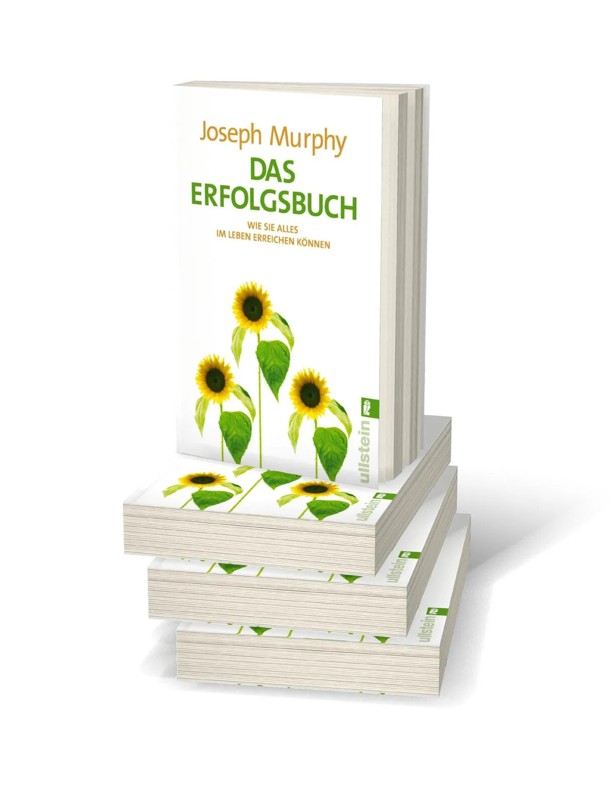 Abbildung von 'Das Erfolgsbuch'