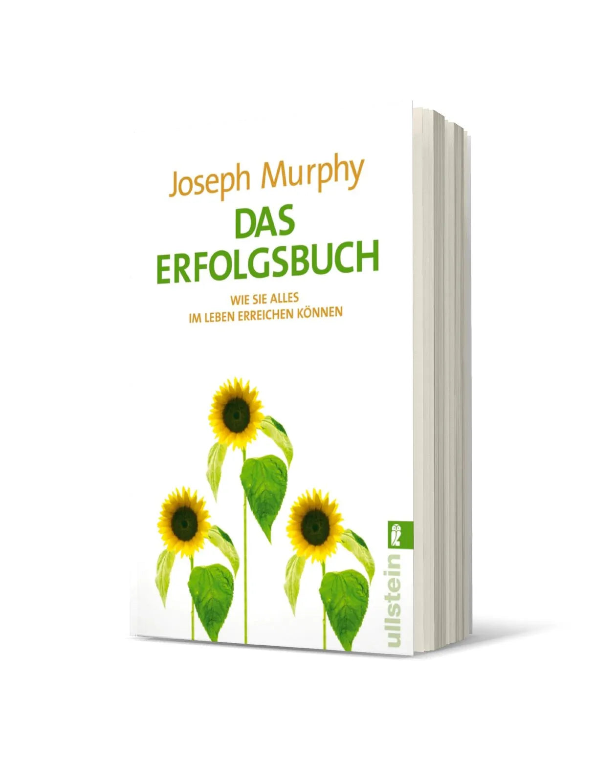 Produktansicht: Das Erfolgsbuch (Taschenbuch)