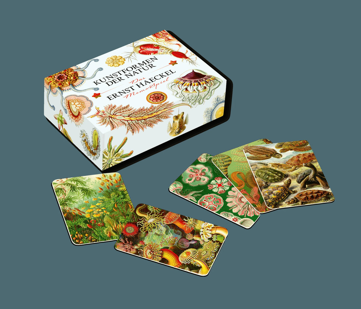 Memospiel: Das Ernst-Haeckel-Memo-Spiel