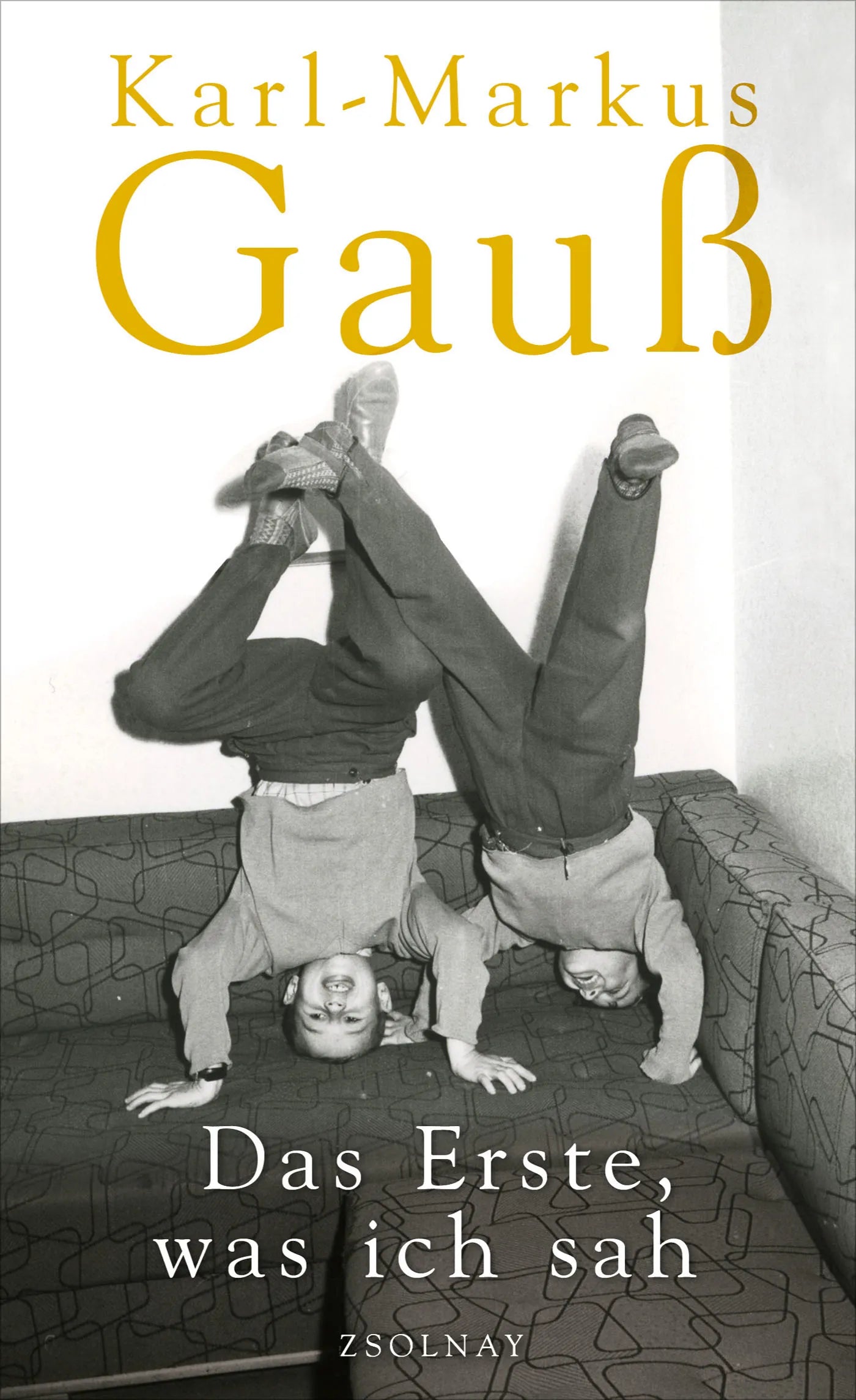 Buchcover von 'Das Erste, was ich sah' - Gebundene Ausgabe von Karl-Markus Gauß