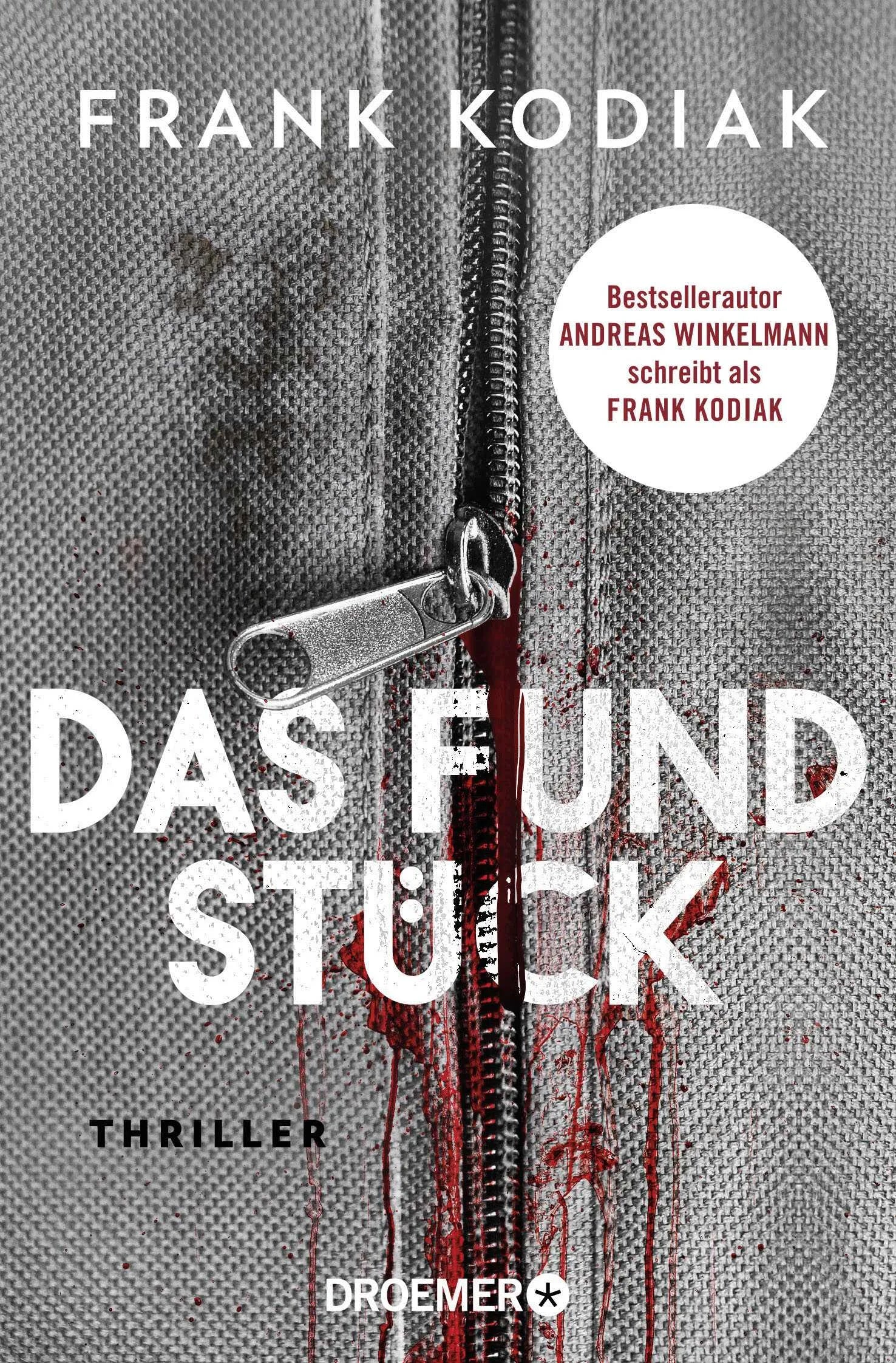 Buchcover von 'Das Fundstück' - Taschenbuch von Frank Kodiak