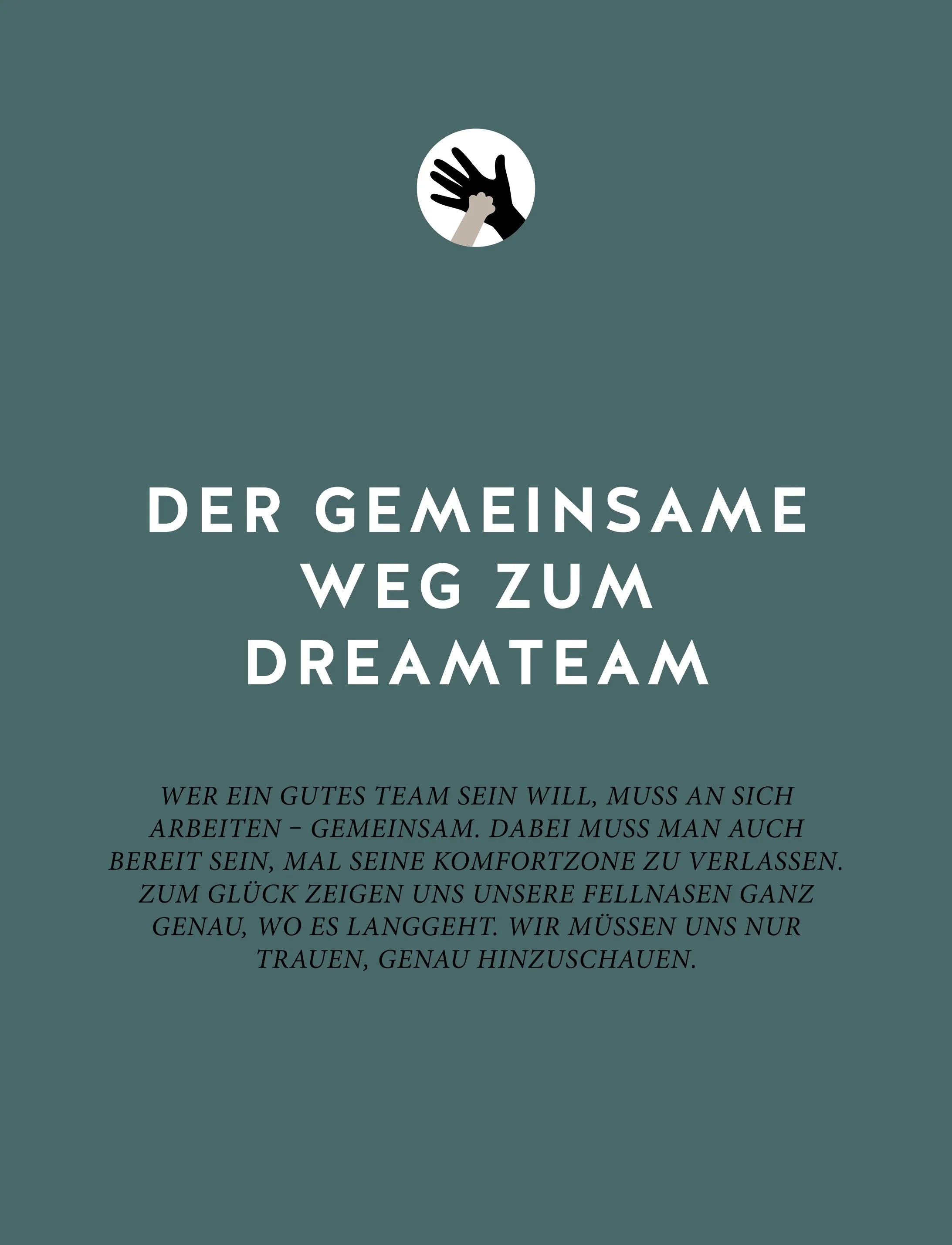 Produktansicht: Das Geheimnis der Spiegelung (Gebundene Ausgabe)