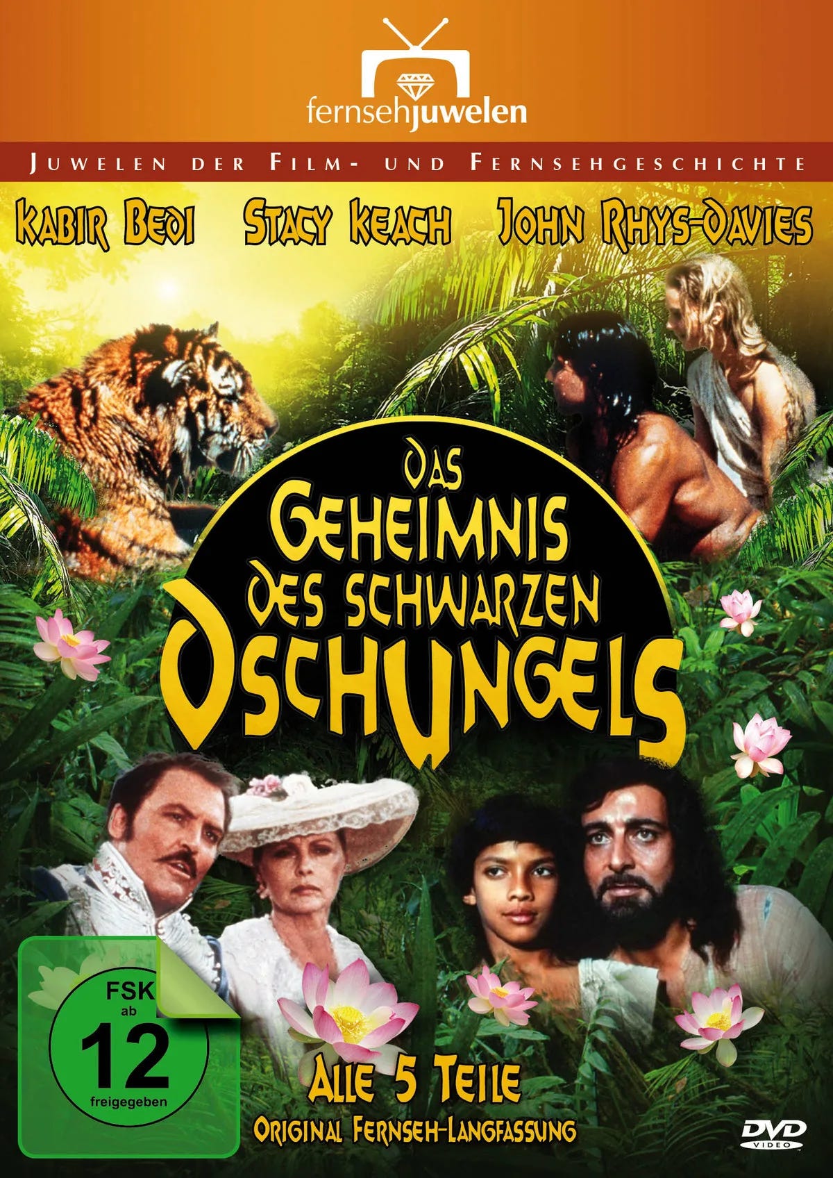 Das Geheimnis des schwarzen../Ep. 1-5  [2 DVDs] - DVD