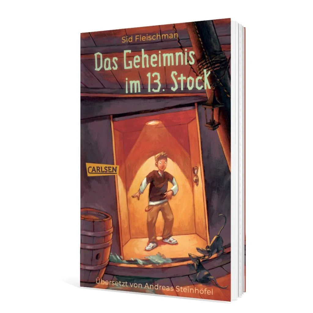 Abbildung von 'Das Geheimnis im 13. Stock'
