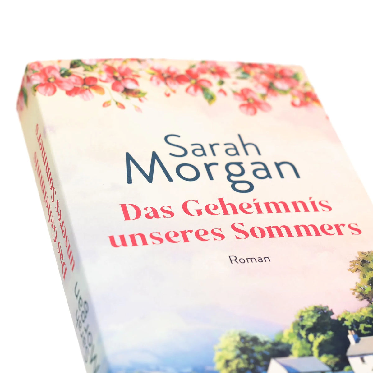 Detailansicht: Das Geheimnis unseres Sommers (Paperback)