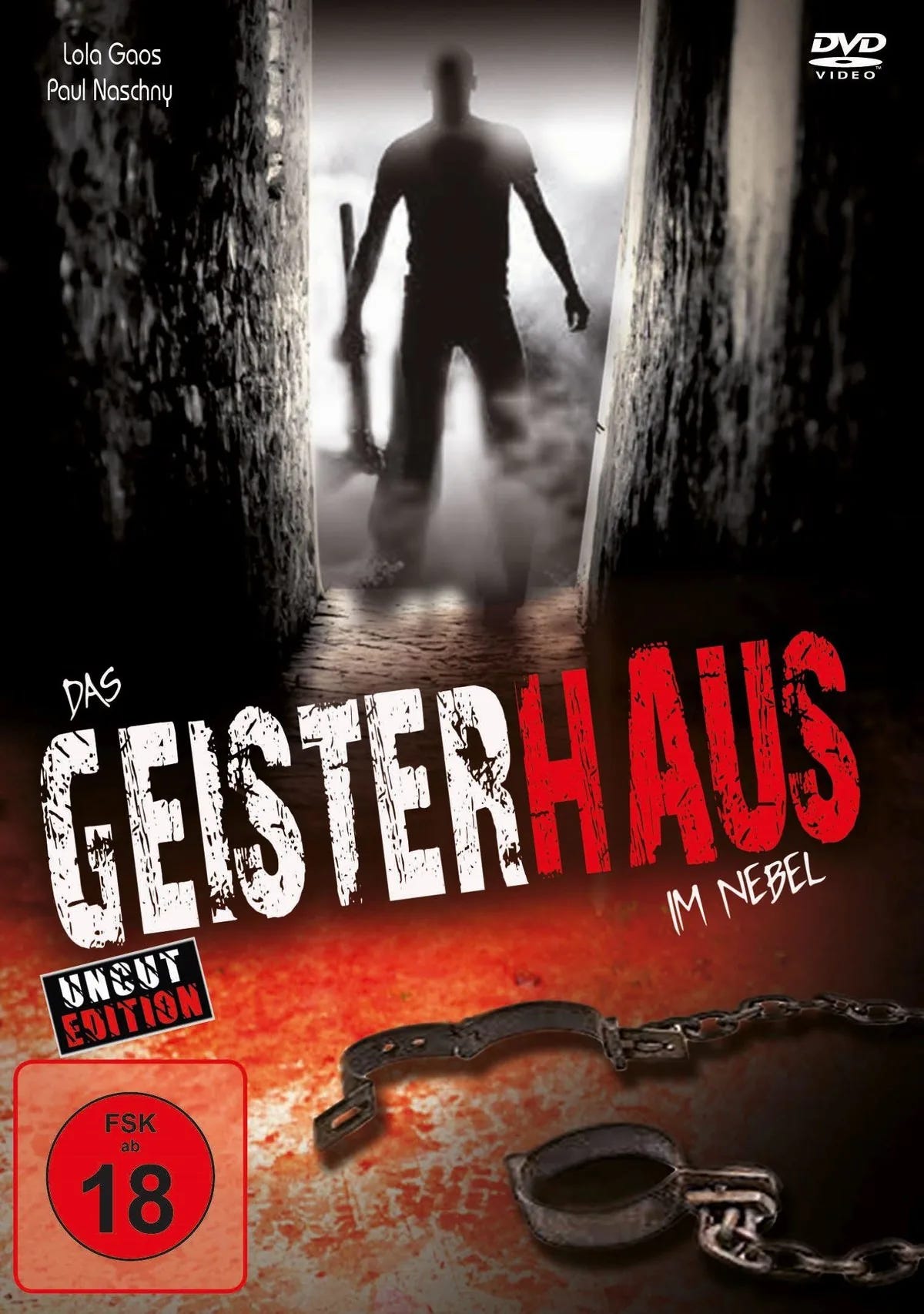 Das Geisterhaus im Nebel - DVD