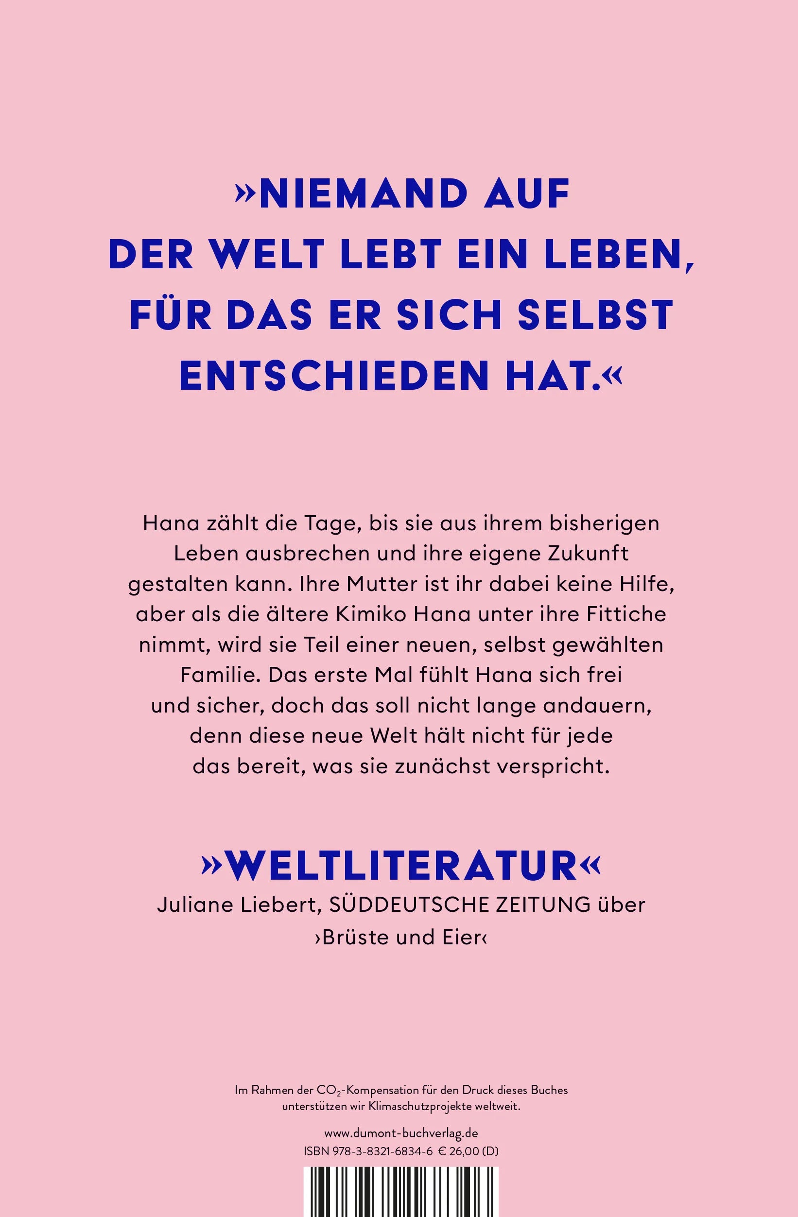 BuchrÃ¼ckseite von 'Das gelbe Haus' mit Klappentext - Gebundene Ausgabe