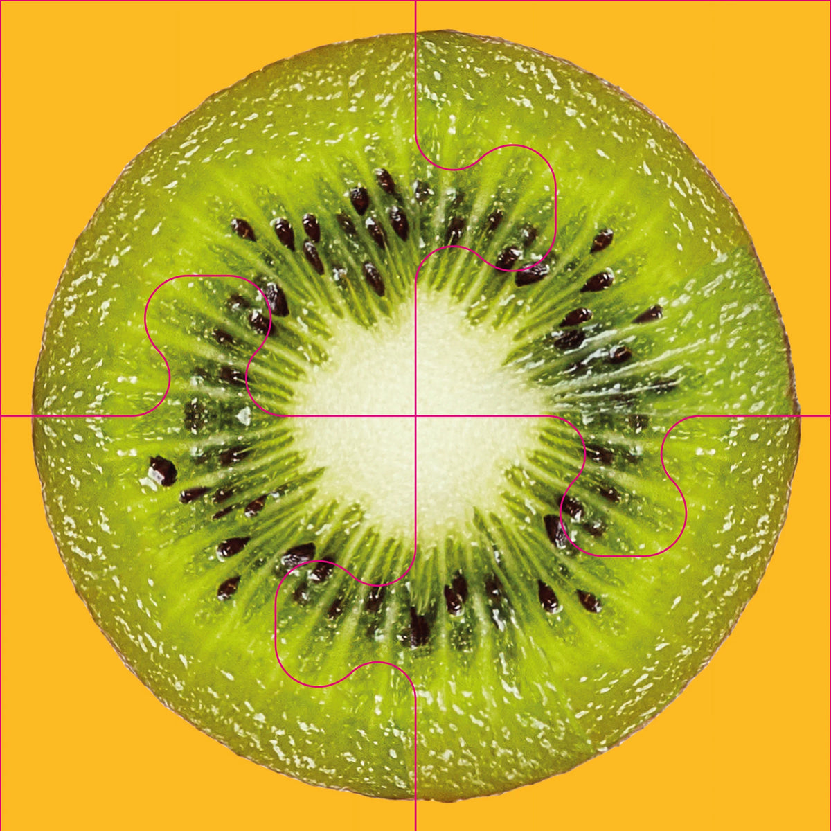 Das "Gelingt immer"-Puzzle Obst. Das Puzzle-Spiel für Senioren mit Demenz – Ansicht