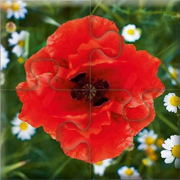 Das "Gelingt-immer"-Puzzle Wiesenblumen. Das Puzzle-Spiel für Senioren mit Demenz – Ansicht