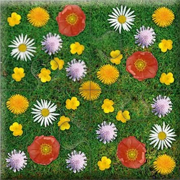 Das "Gelingt-immer"-Puzzle Wiesenblumen. Das Puzzle-Spiel für Senioren mit Demenz – Ansicht