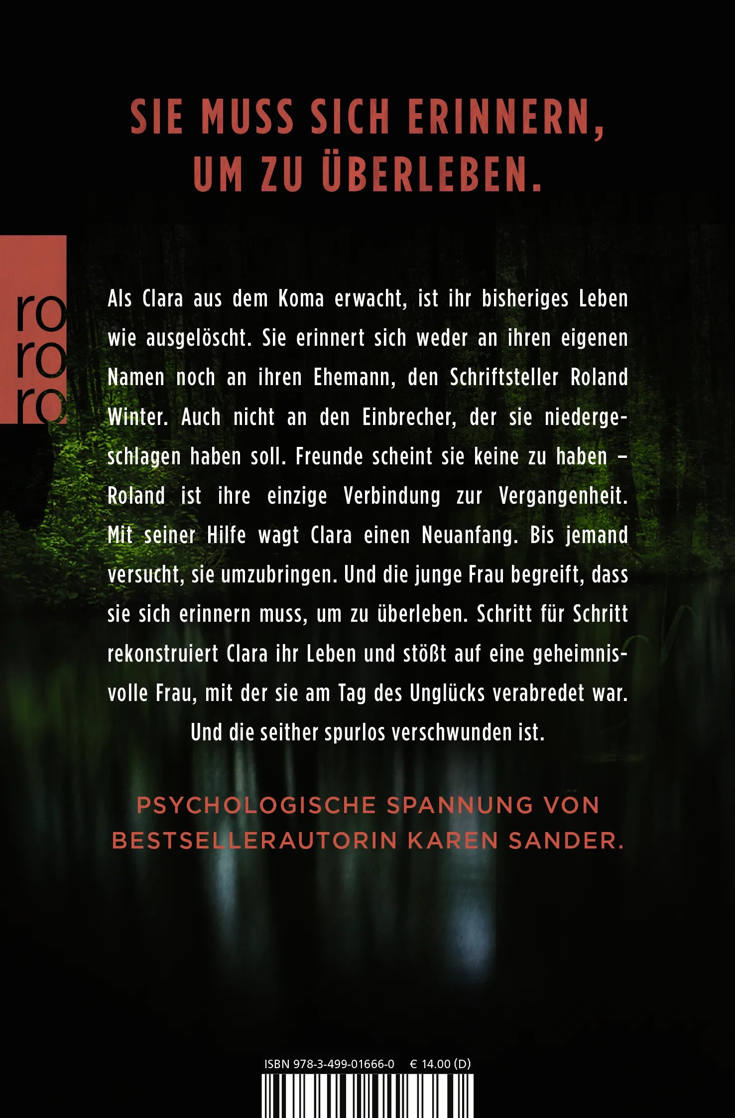 Buchrückseite von 'Das Gesicht meines Mörders' mit Klappentext - Taschenbuch