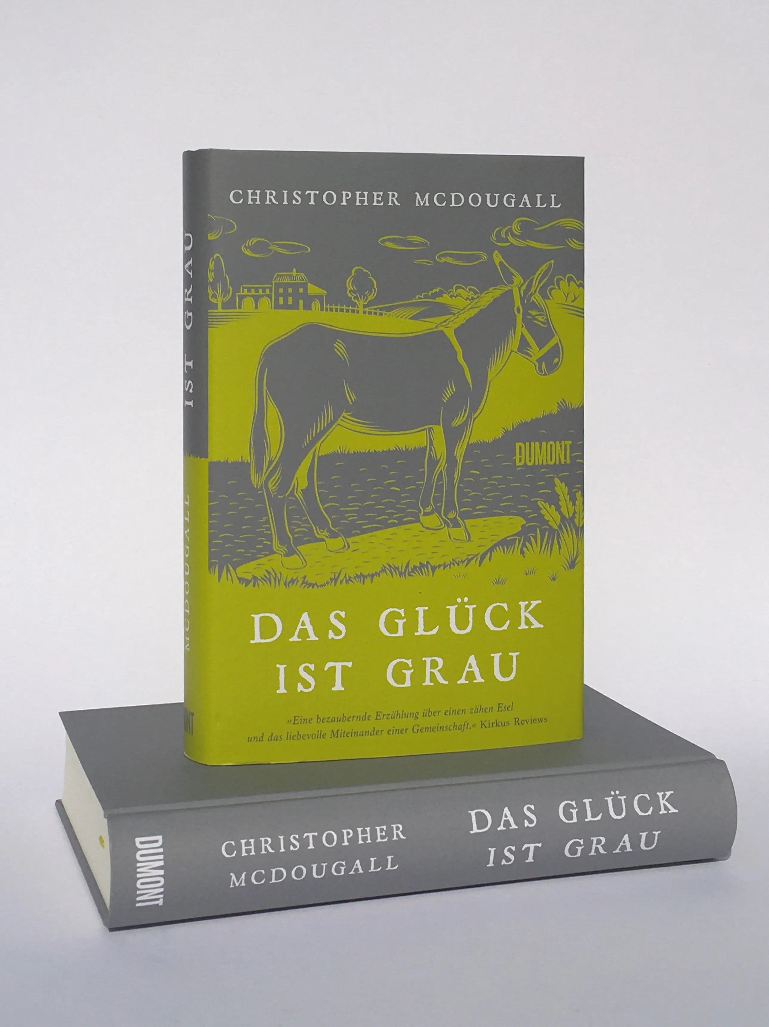 Abbildung von 'Das Glück ist grau'