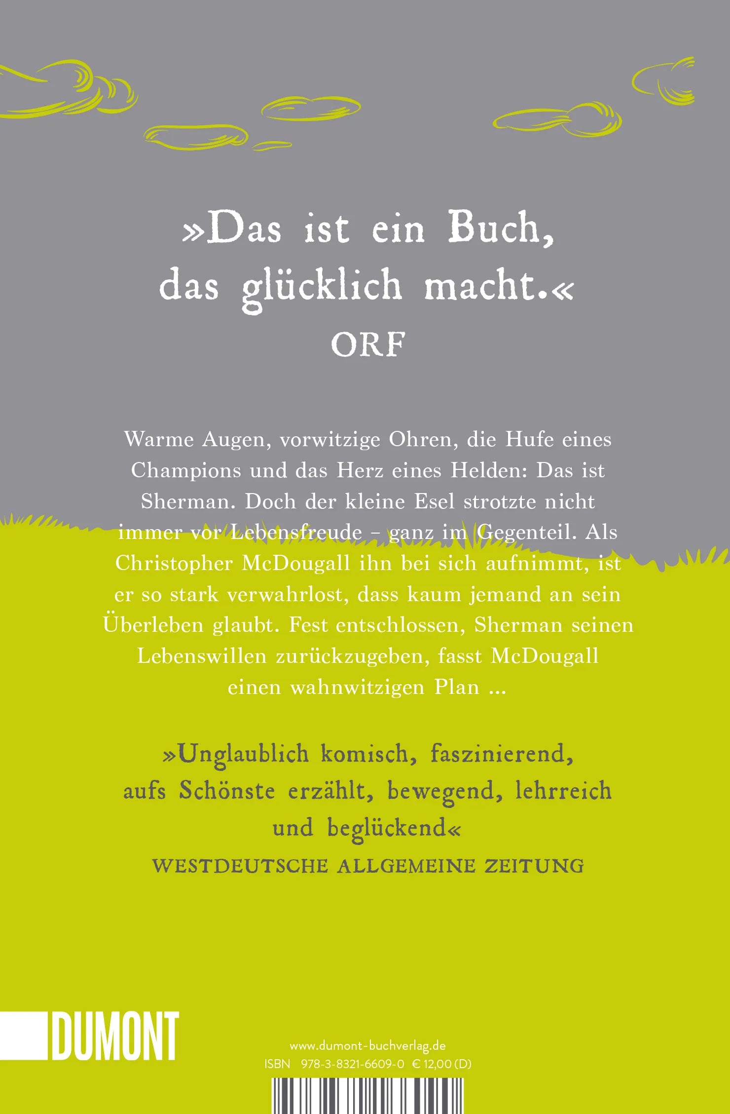 Buchrückseite von 'Das Glück ist grau' mit Klappentext - Taschenbuch